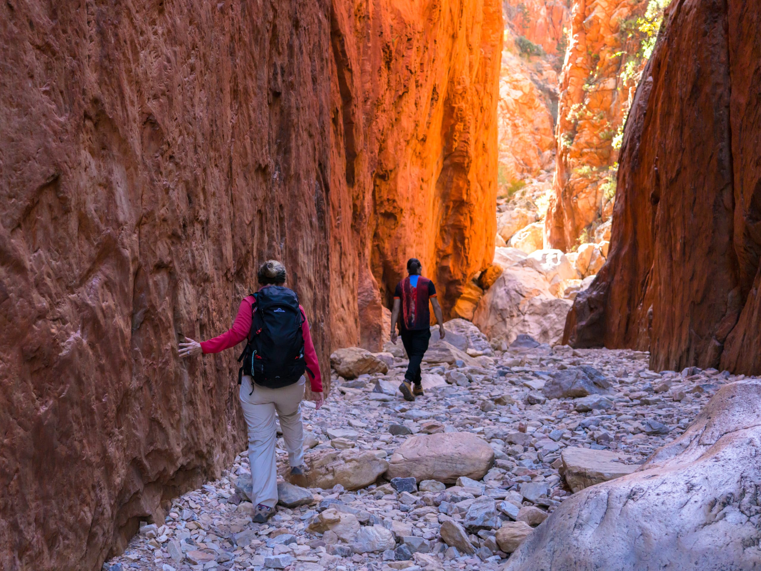 Classic Larapinta Trail Trek-8