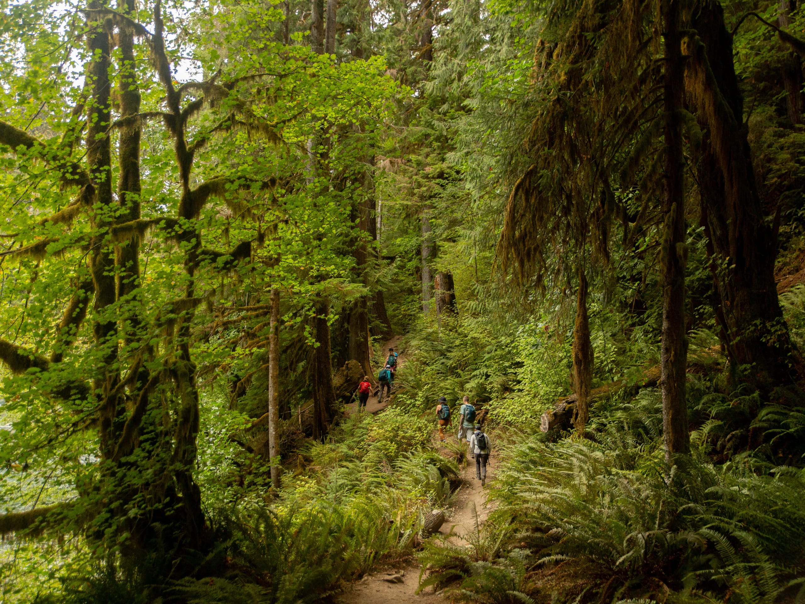 Olympic and Cascades Adventure Tour-3