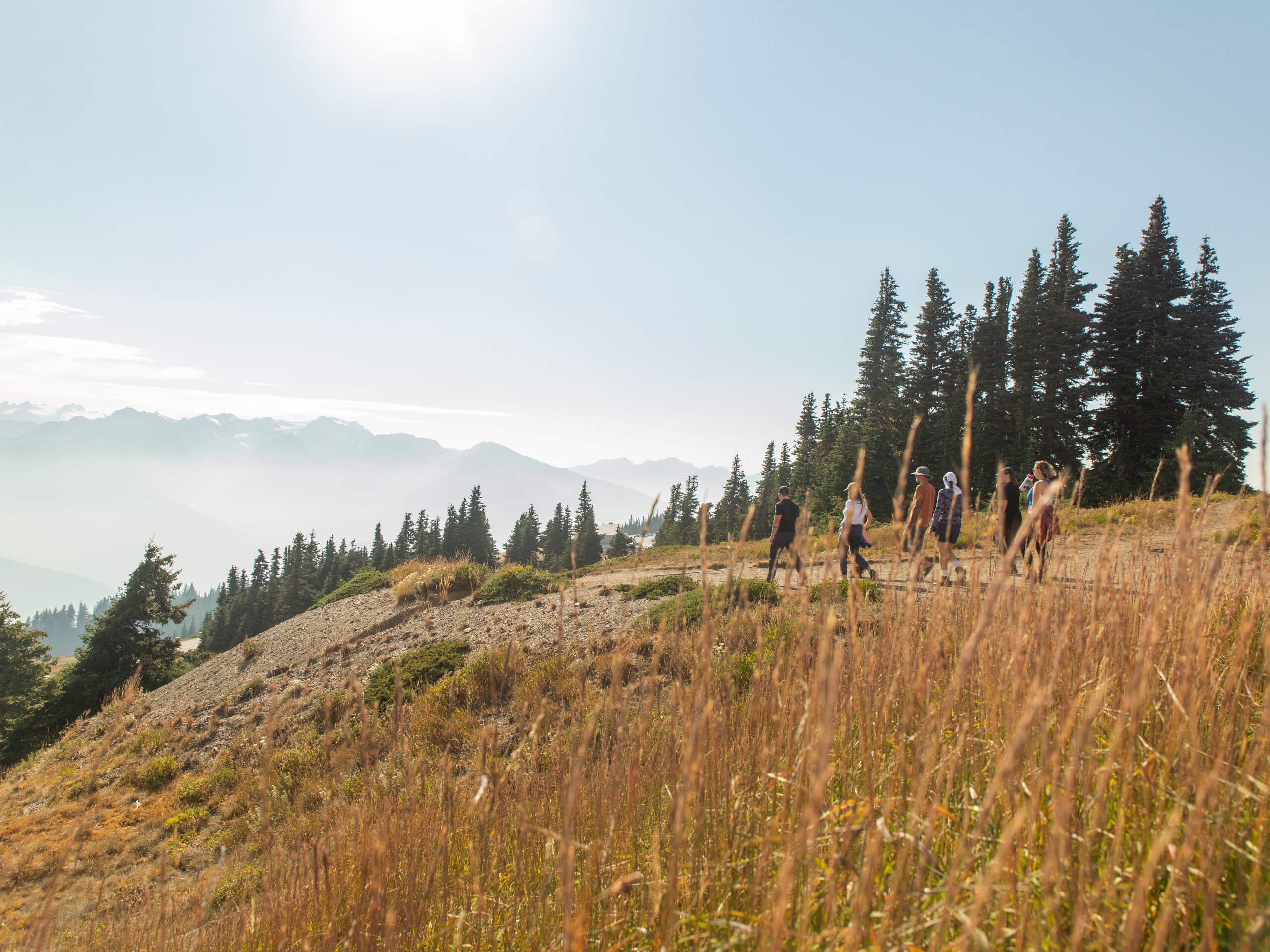 Olympic and Cascades Adventure Tour-4