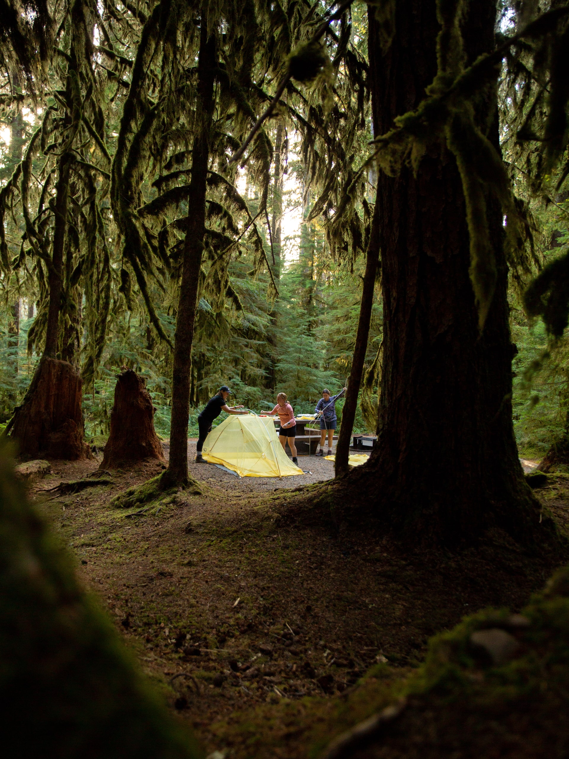 Olympic and Cascades Adventure Tour-7