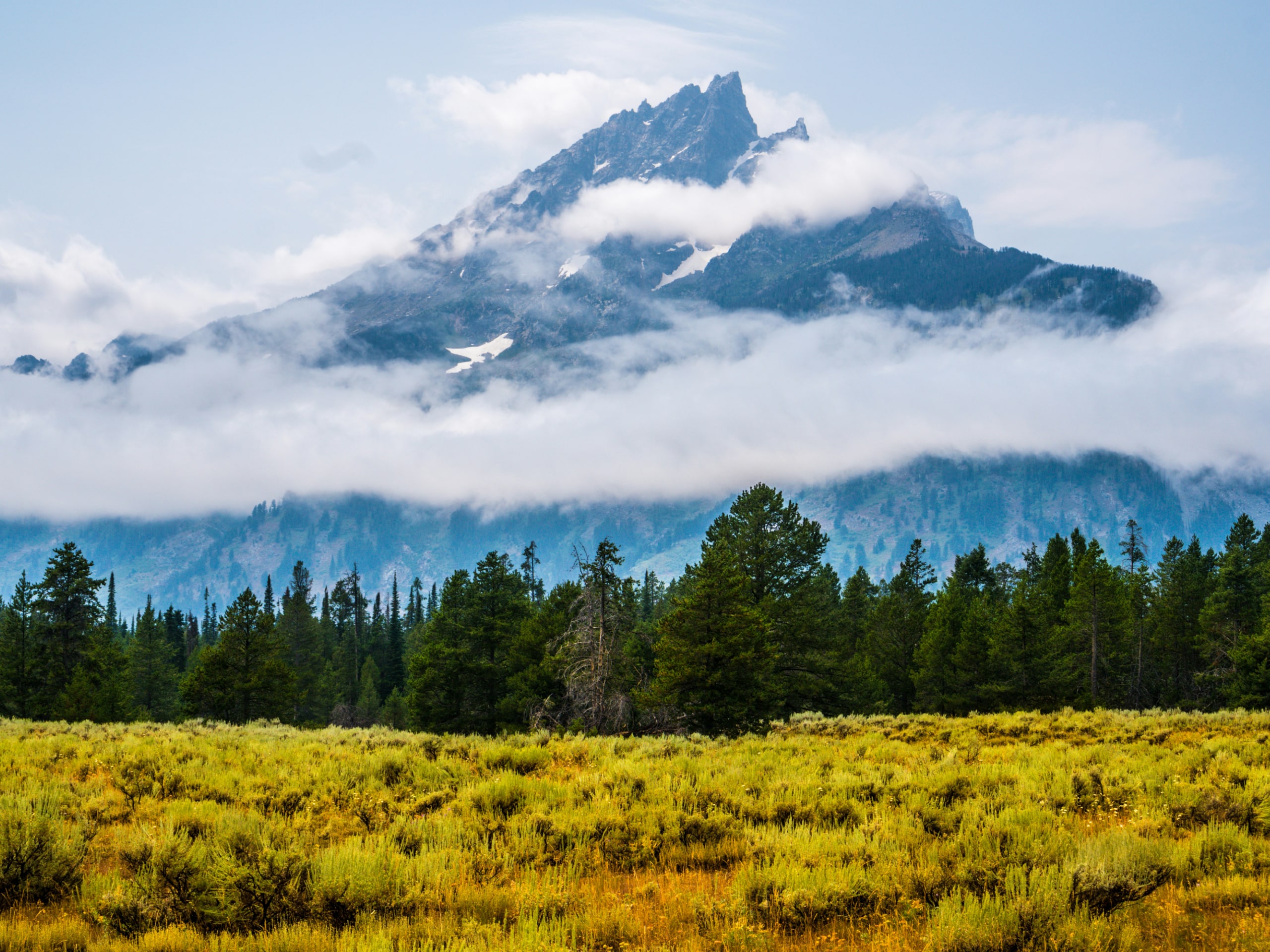 Yellowstone Thorofare Backpacking Tour-4