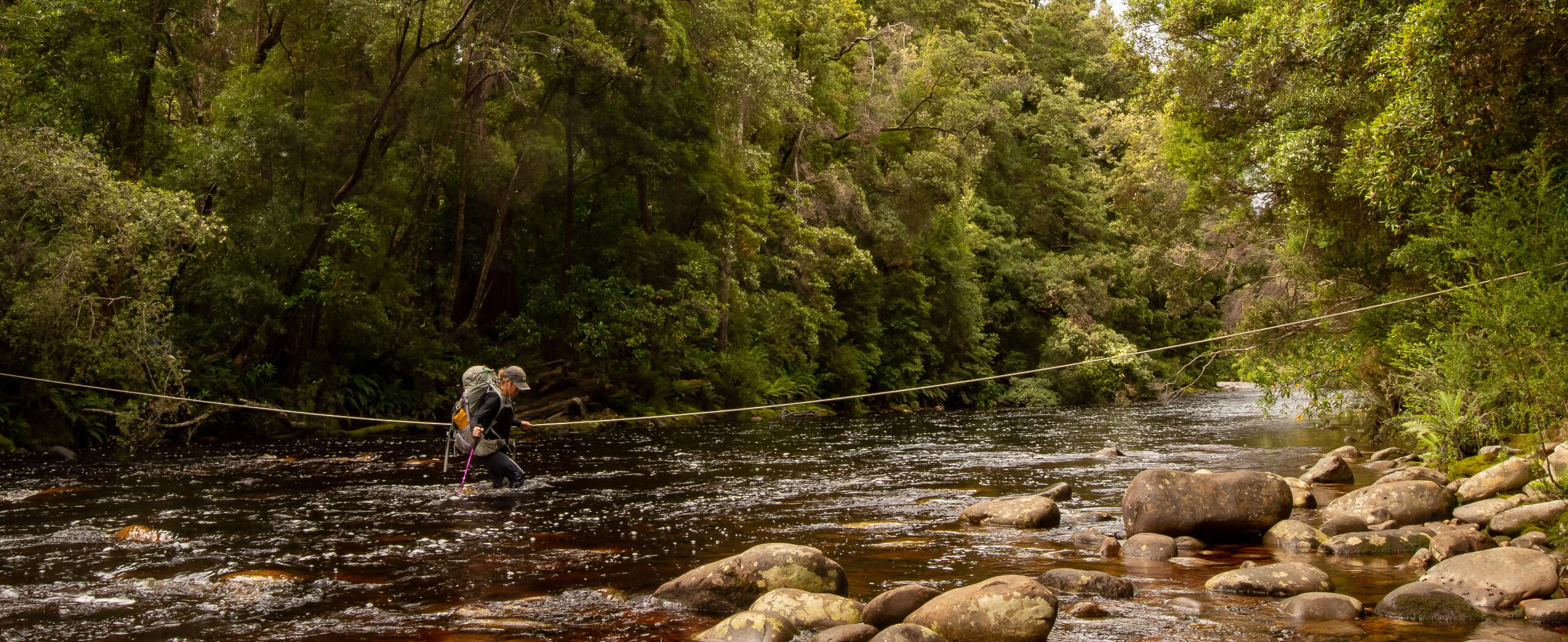 South Coast Track Trek