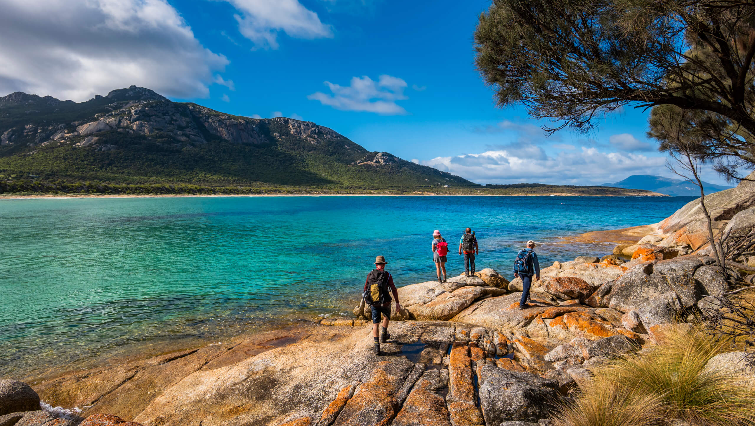 Flinders Island Walking Tour