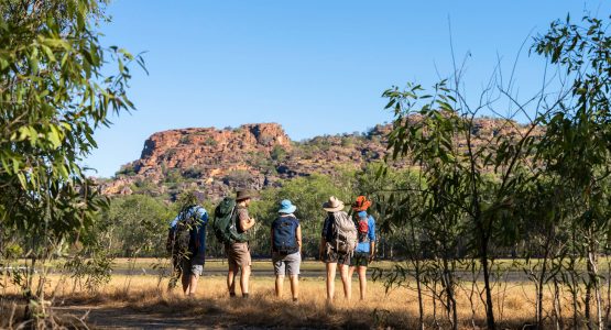 Kakadu National Park Tour