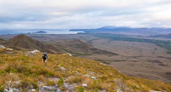 South Coast Track Trek