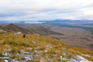 South Coast Track Trek