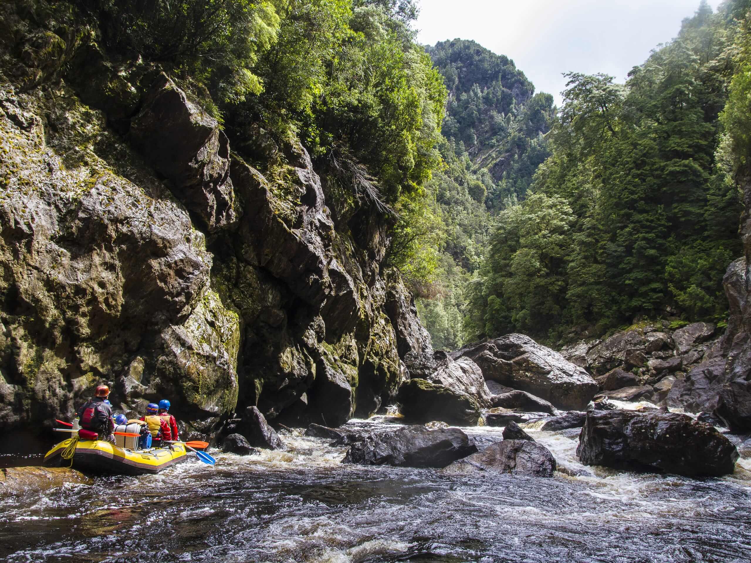 Franklin River Rafting-7