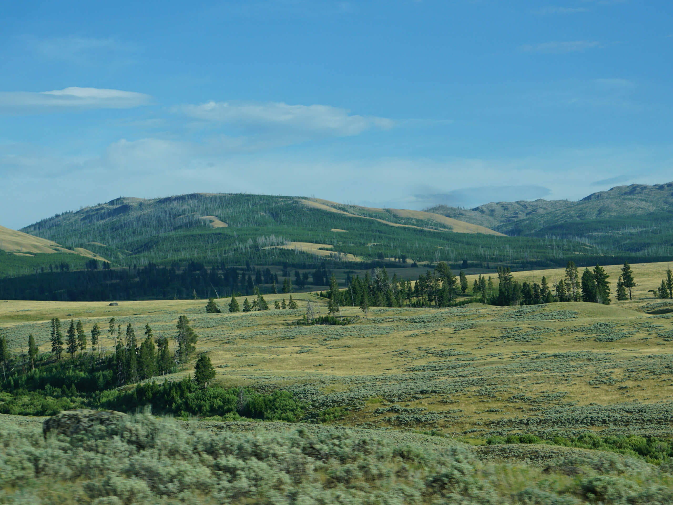 Grand Teton and Yellowstone Hiking Tour-3