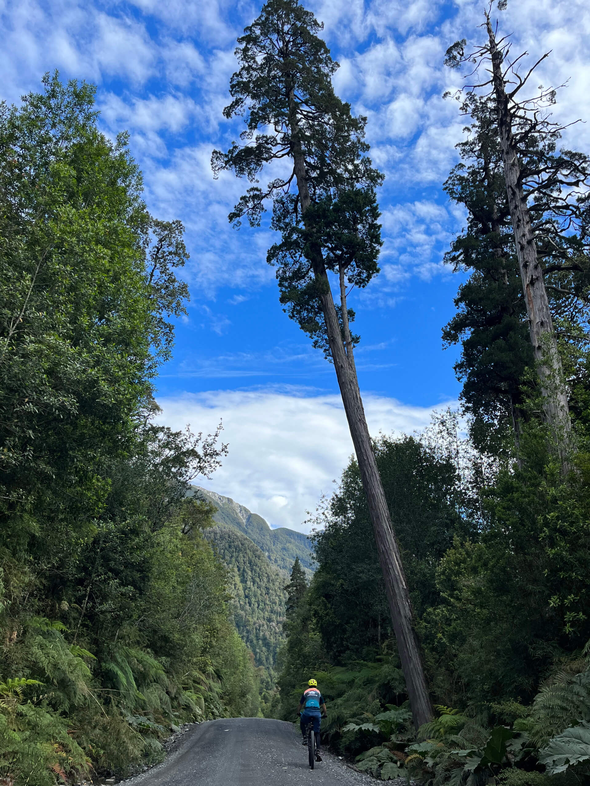 Northern Austral Highway Cycling Tour-19