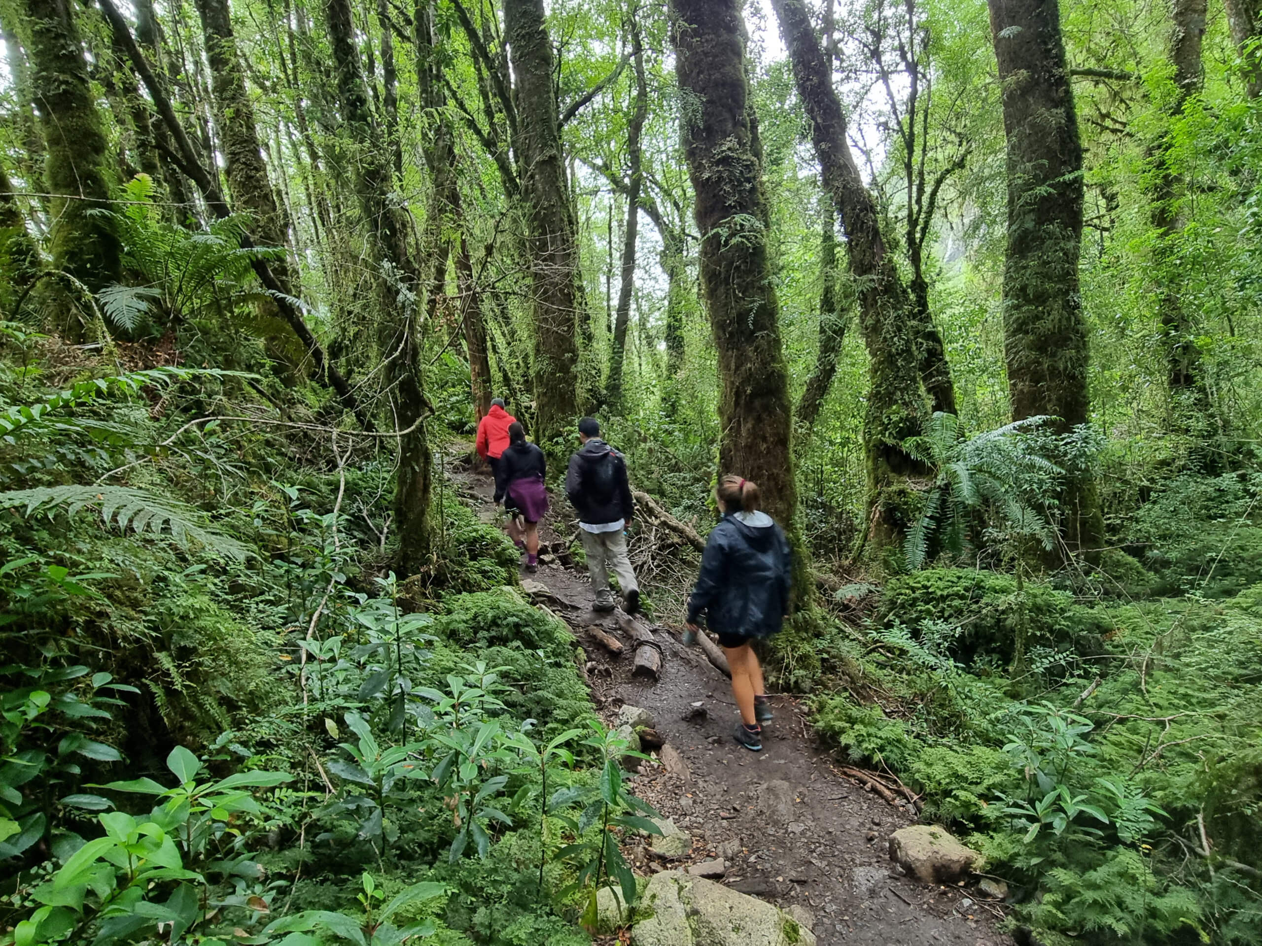 Northern Austral Highway Cycling Tour-26