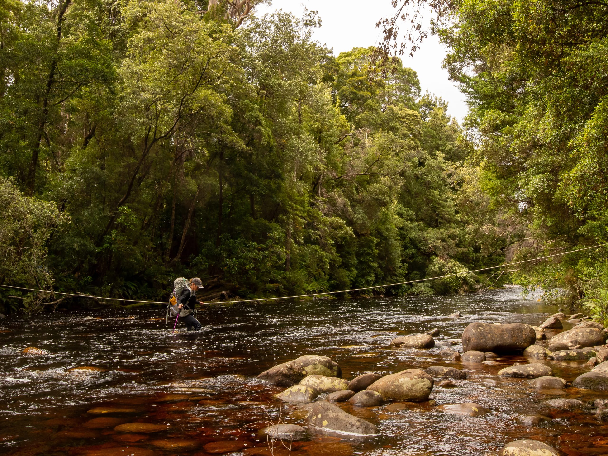 South Coast Track Trek-1