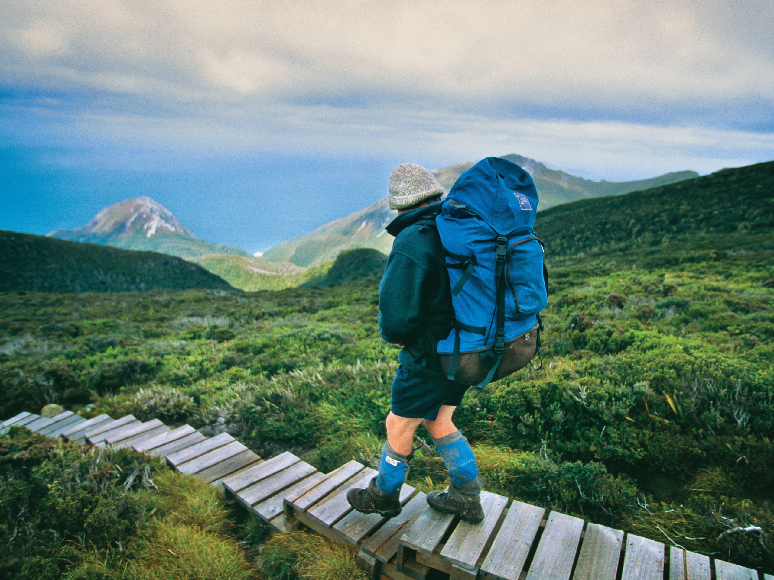 South Coast Track Trek-3