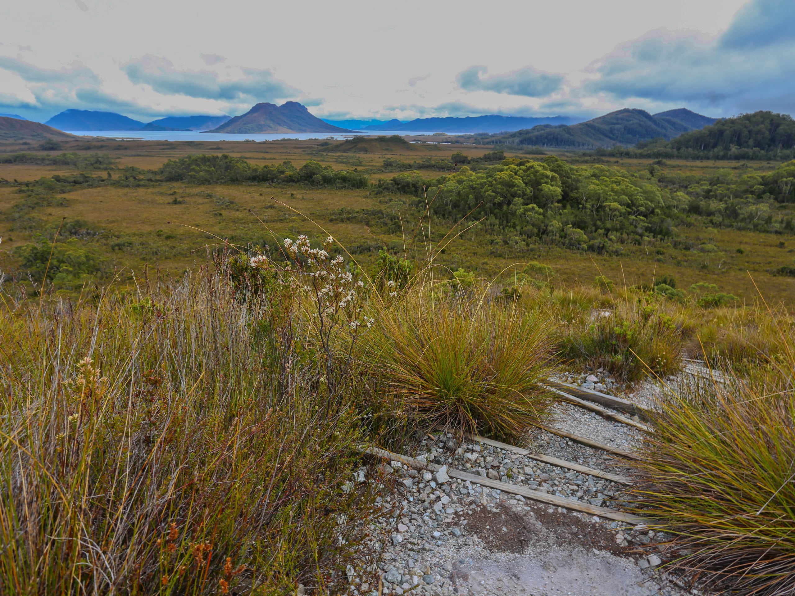 South Coast Track Trek-4