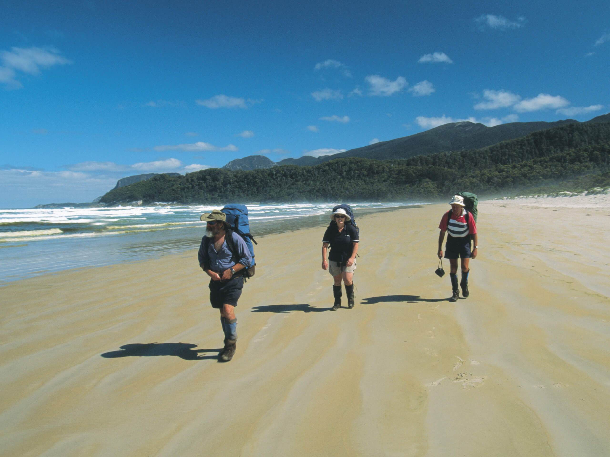 South Coast Track Trek-6