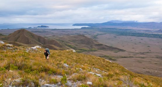 South Coast Track Trek-7