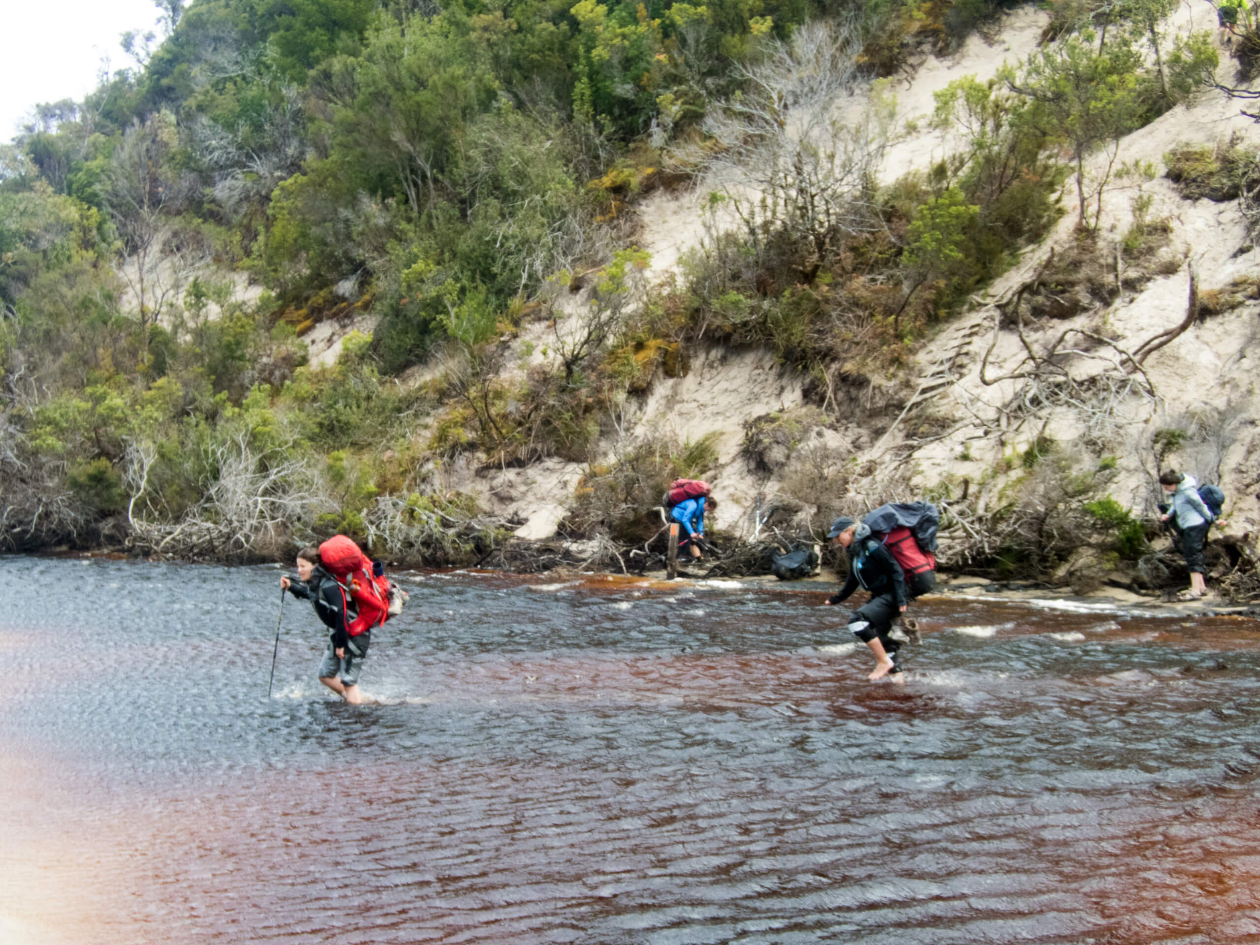 South Coast Track Trek-8