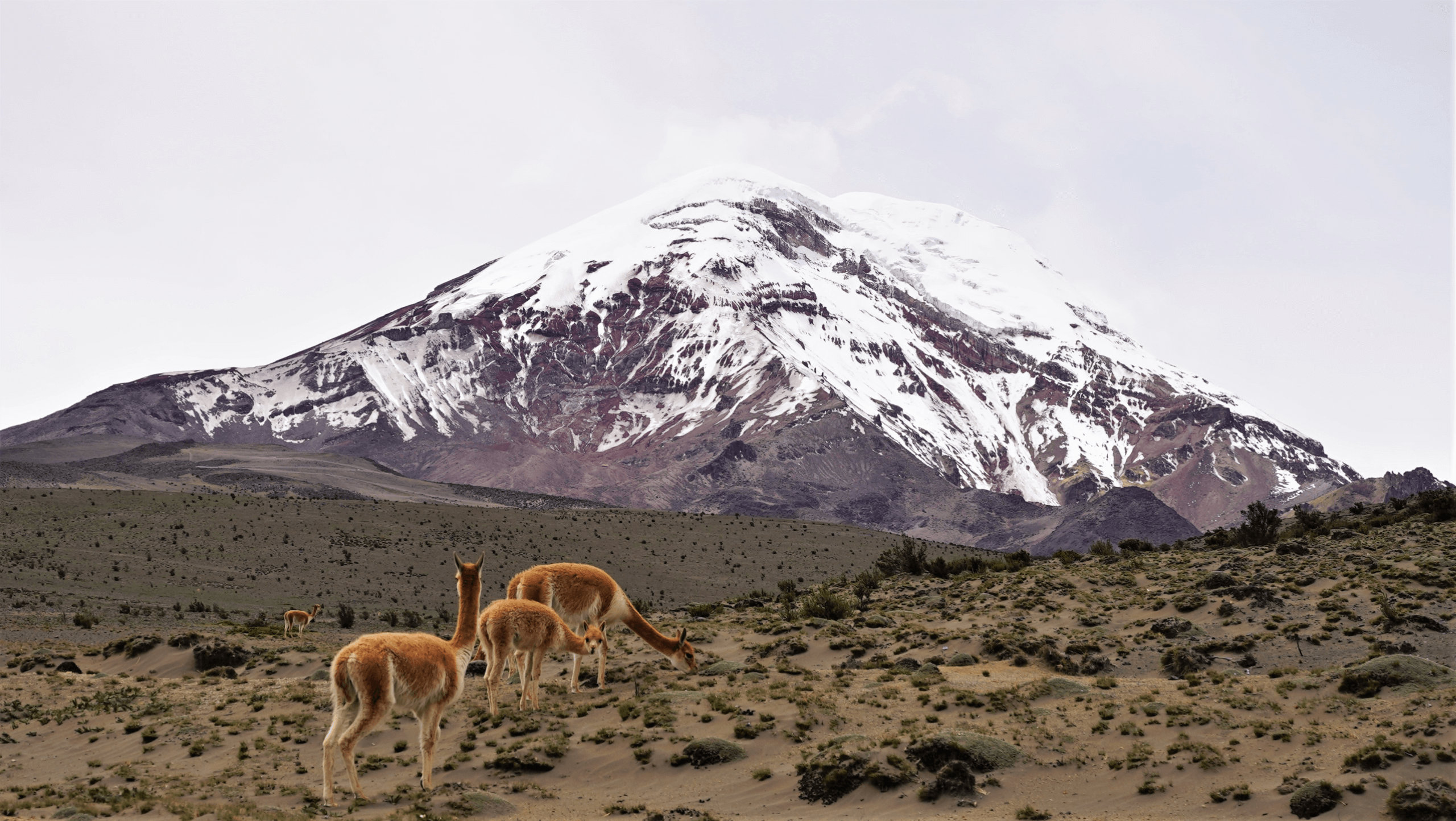 Trekking in Ecuador