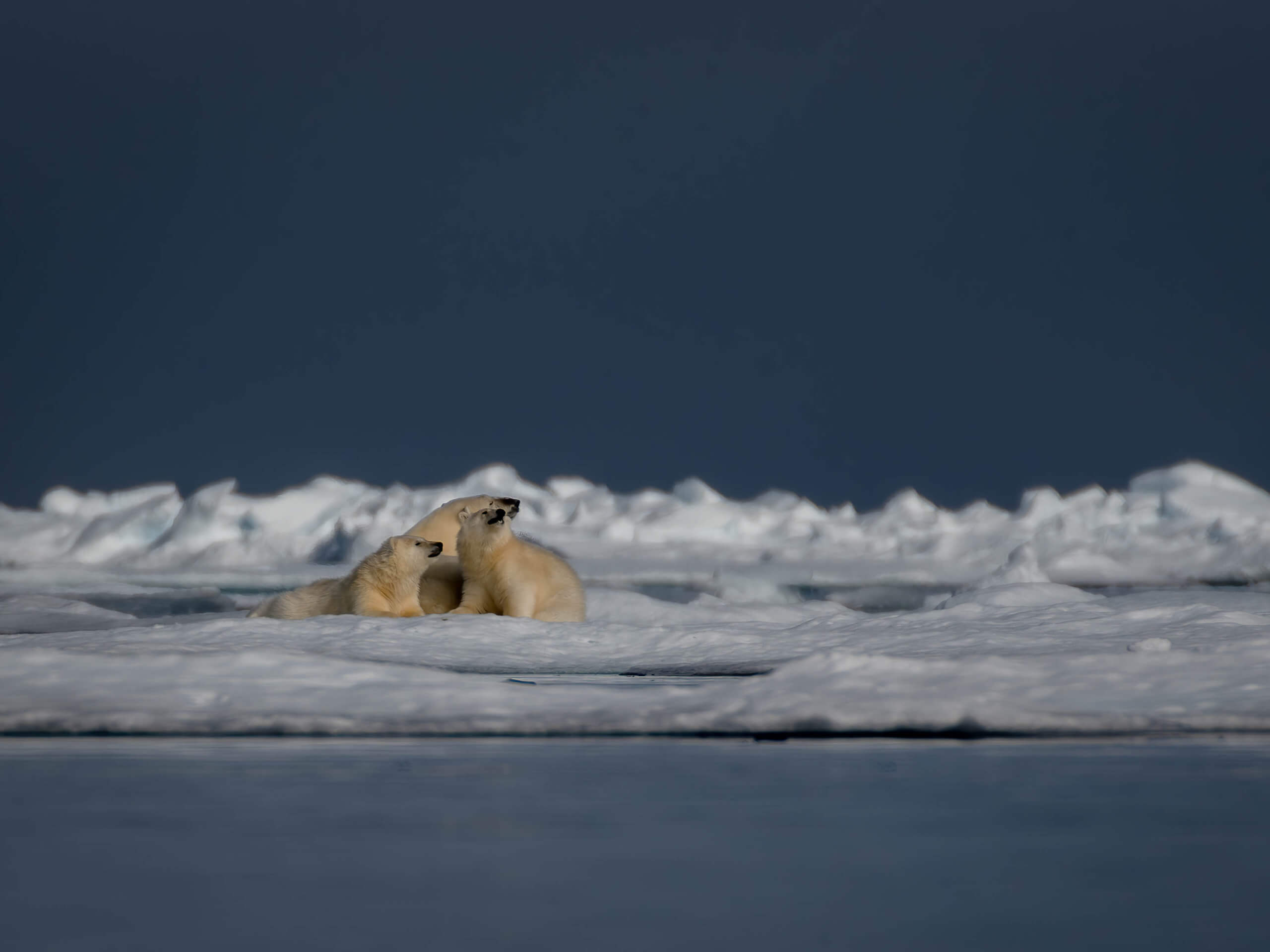 Baffin Island & Greenland Expedition-3