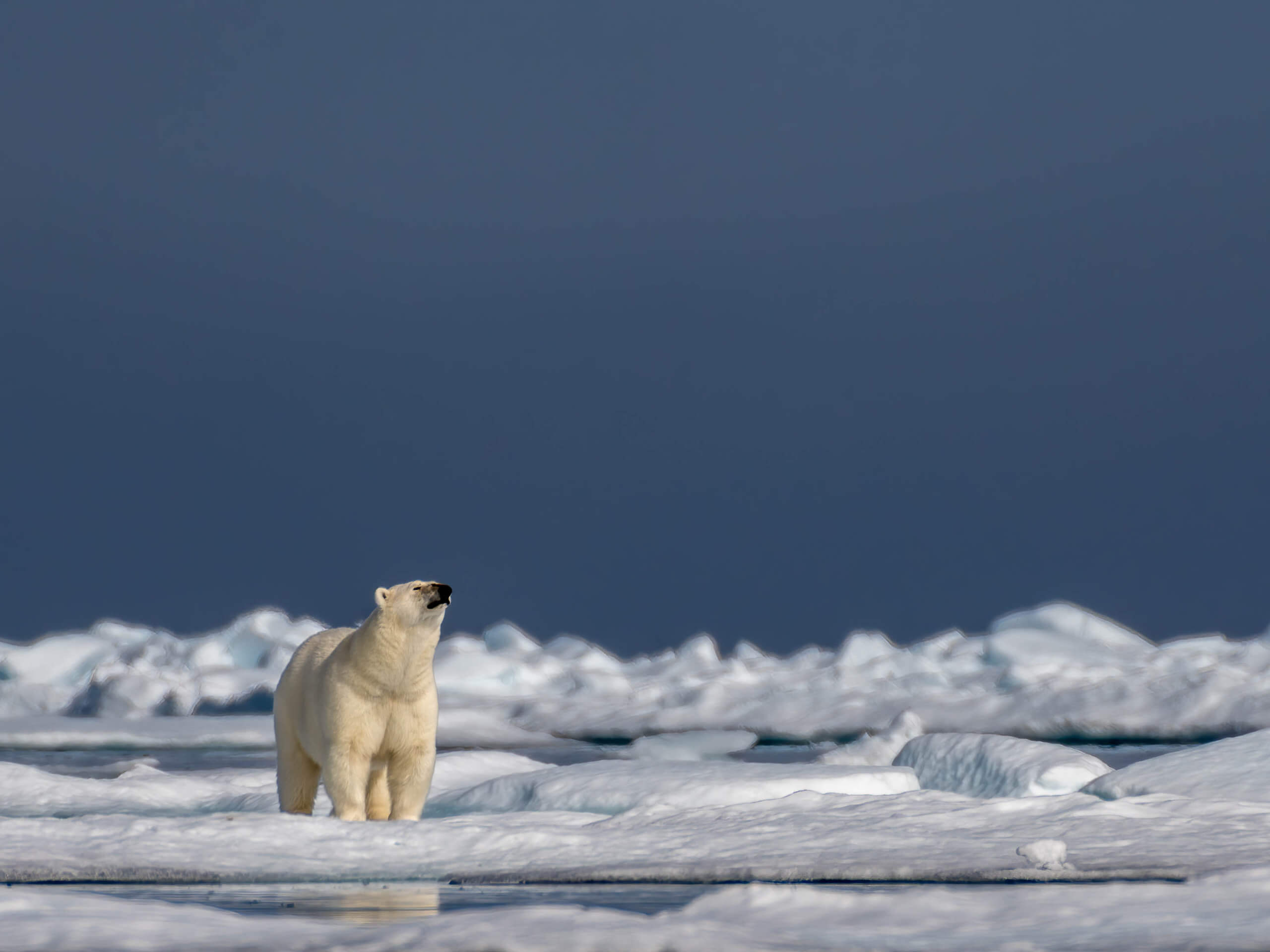 Baffin Island & Greenland Expedition-8