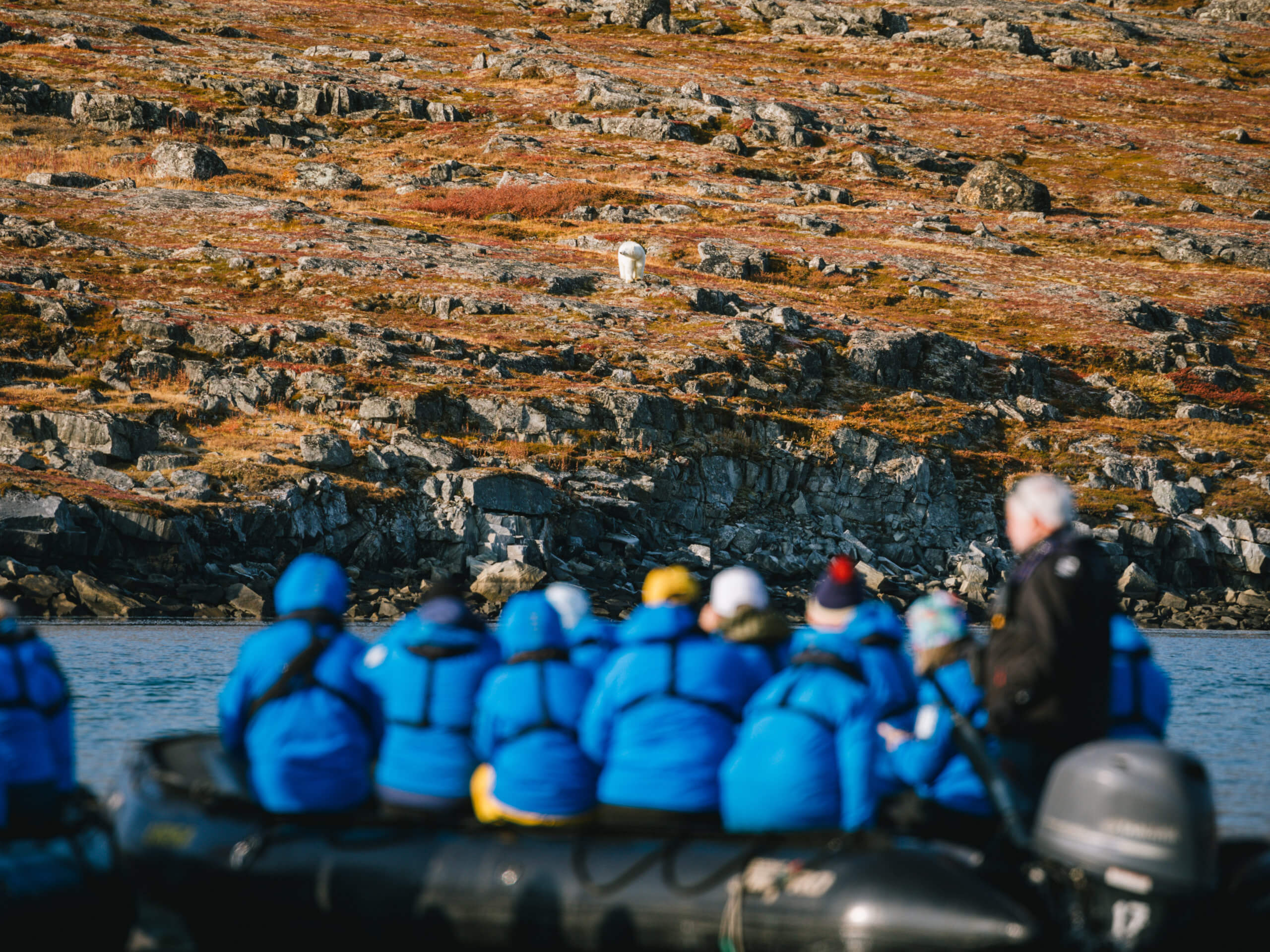 Greenland and Wild Labrador Expedition-6