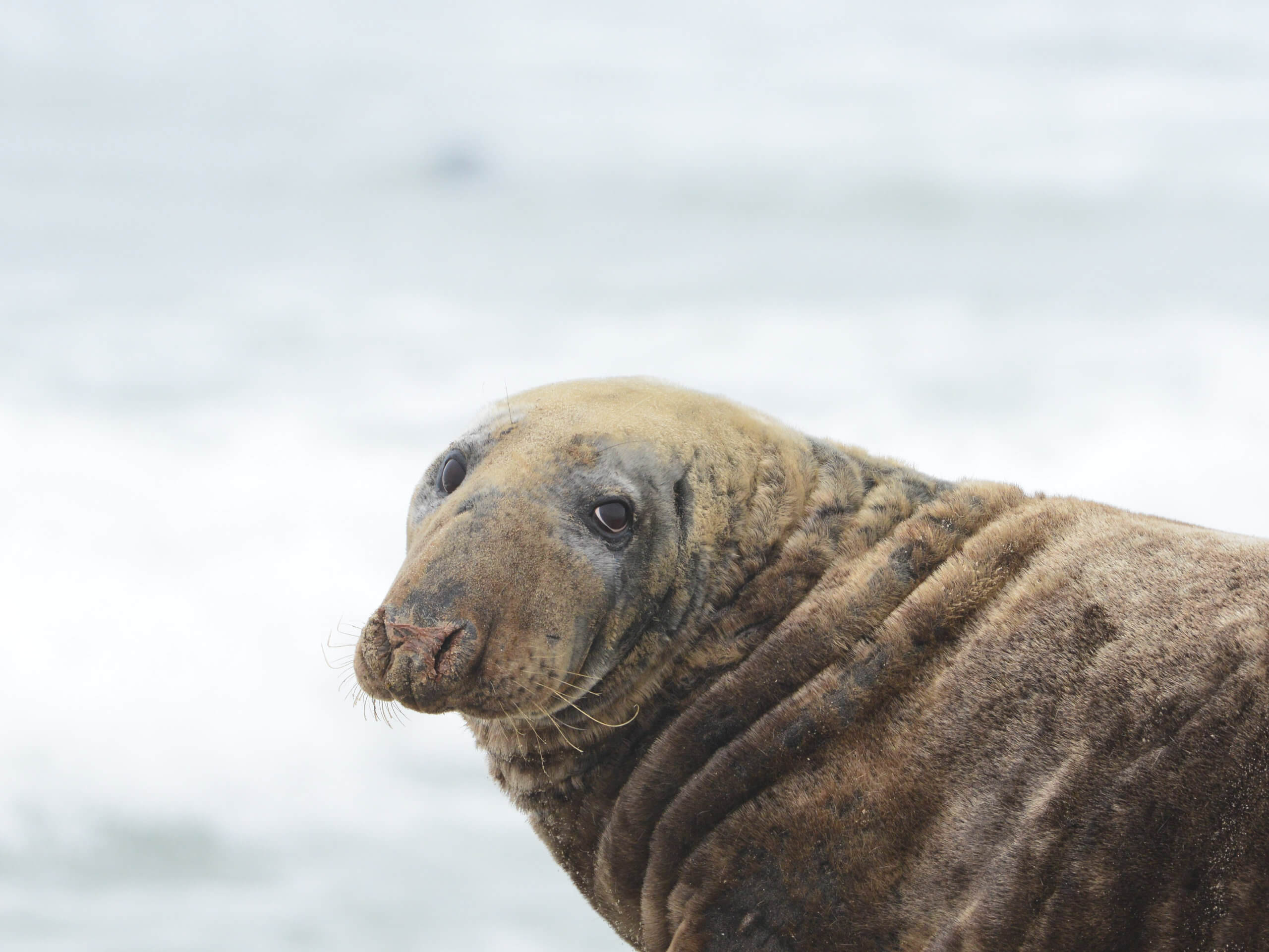 Into the Northwest Passage Expedition-13