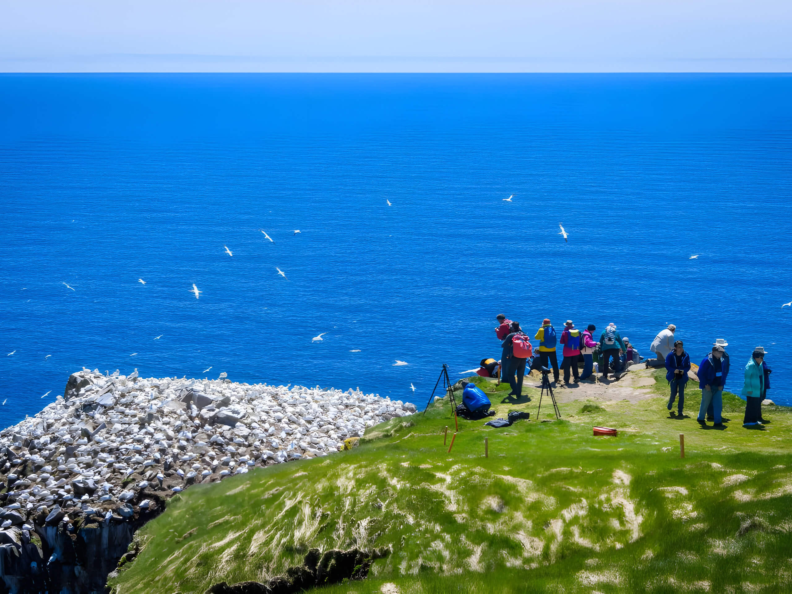 Newfoundland Circumnavigation-5