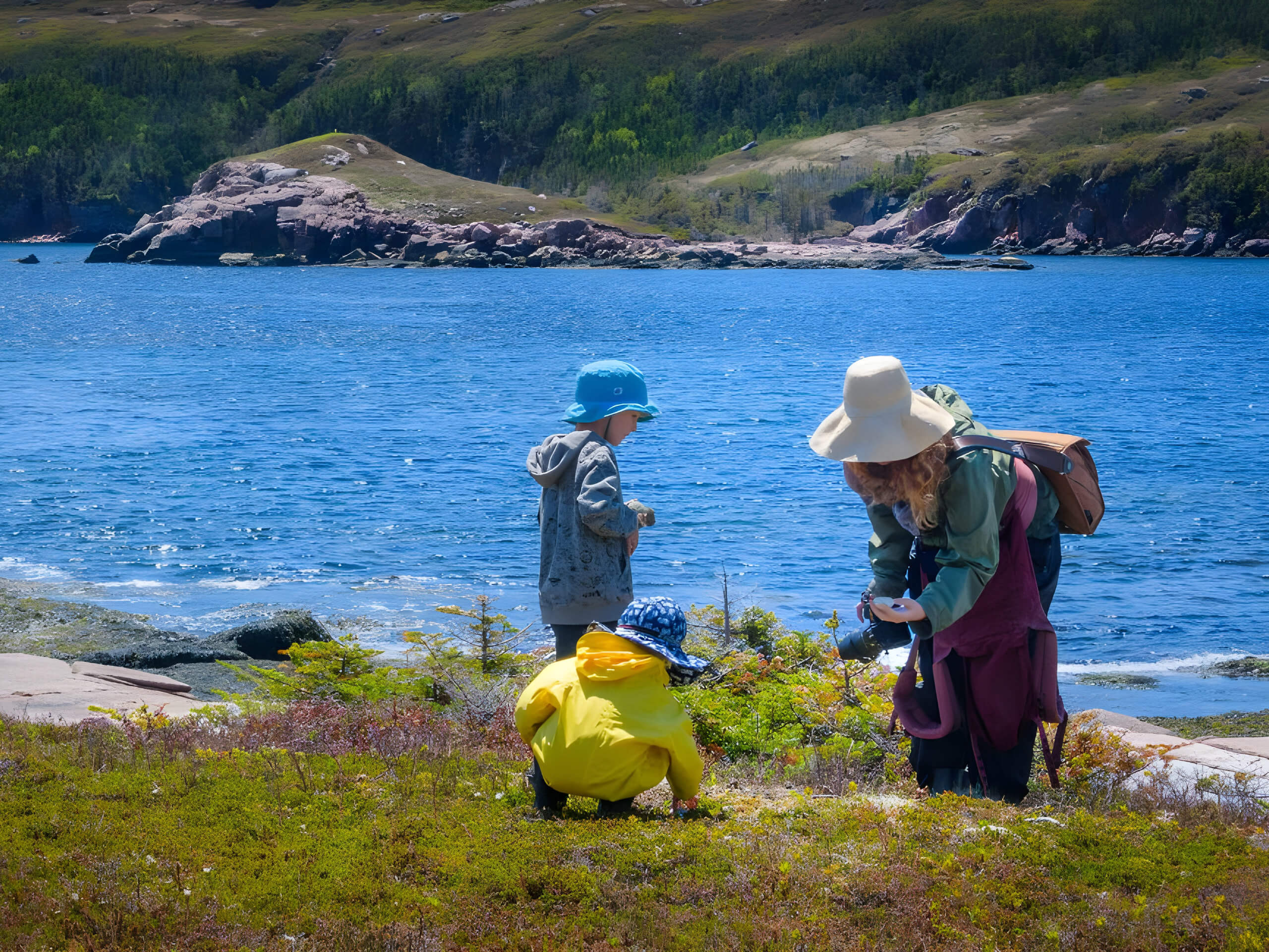 Newfoundland Circumnavigation-8