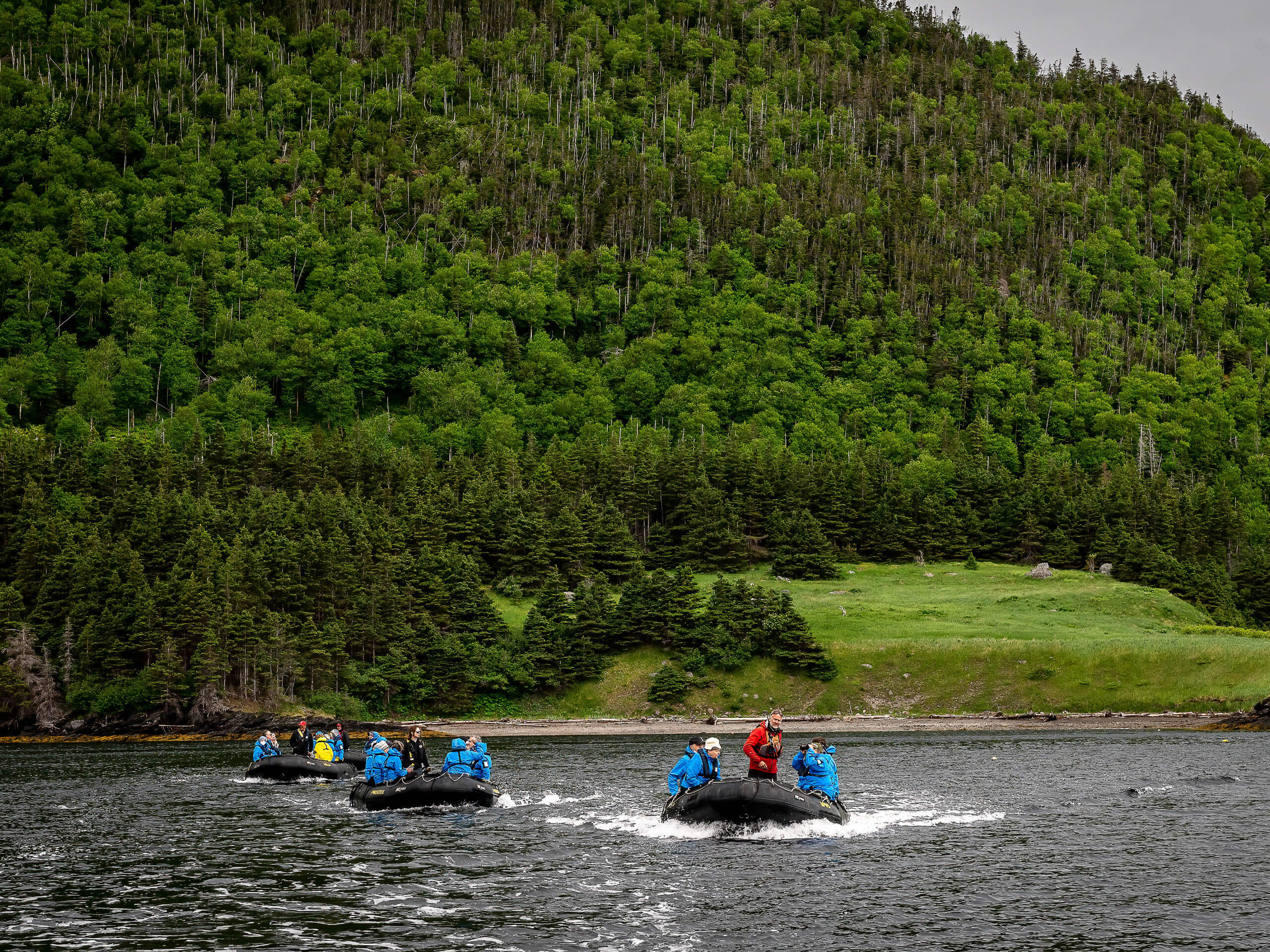 Newfoundland Circumnavigation-9