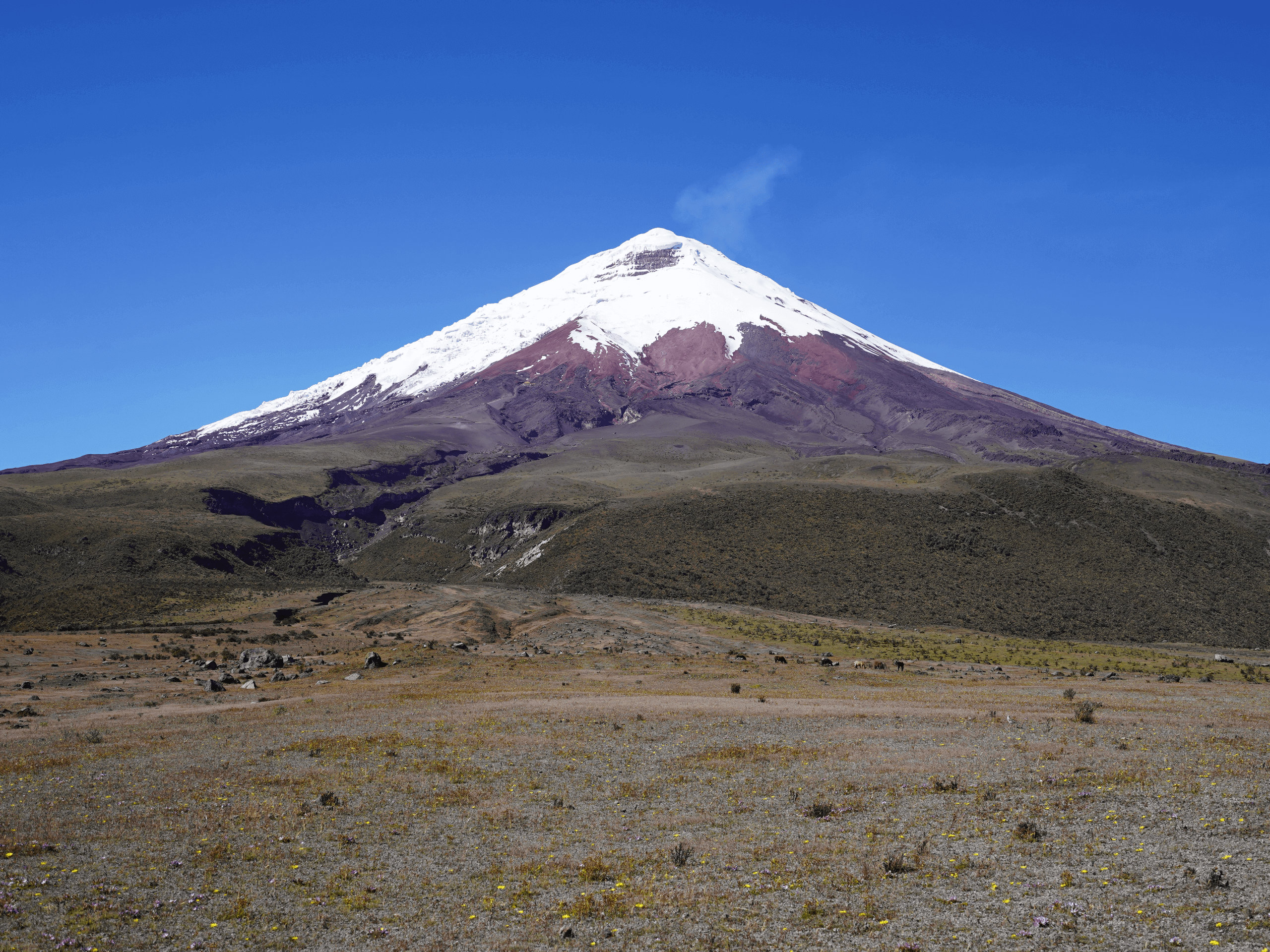 Trekking in Ecuador-6