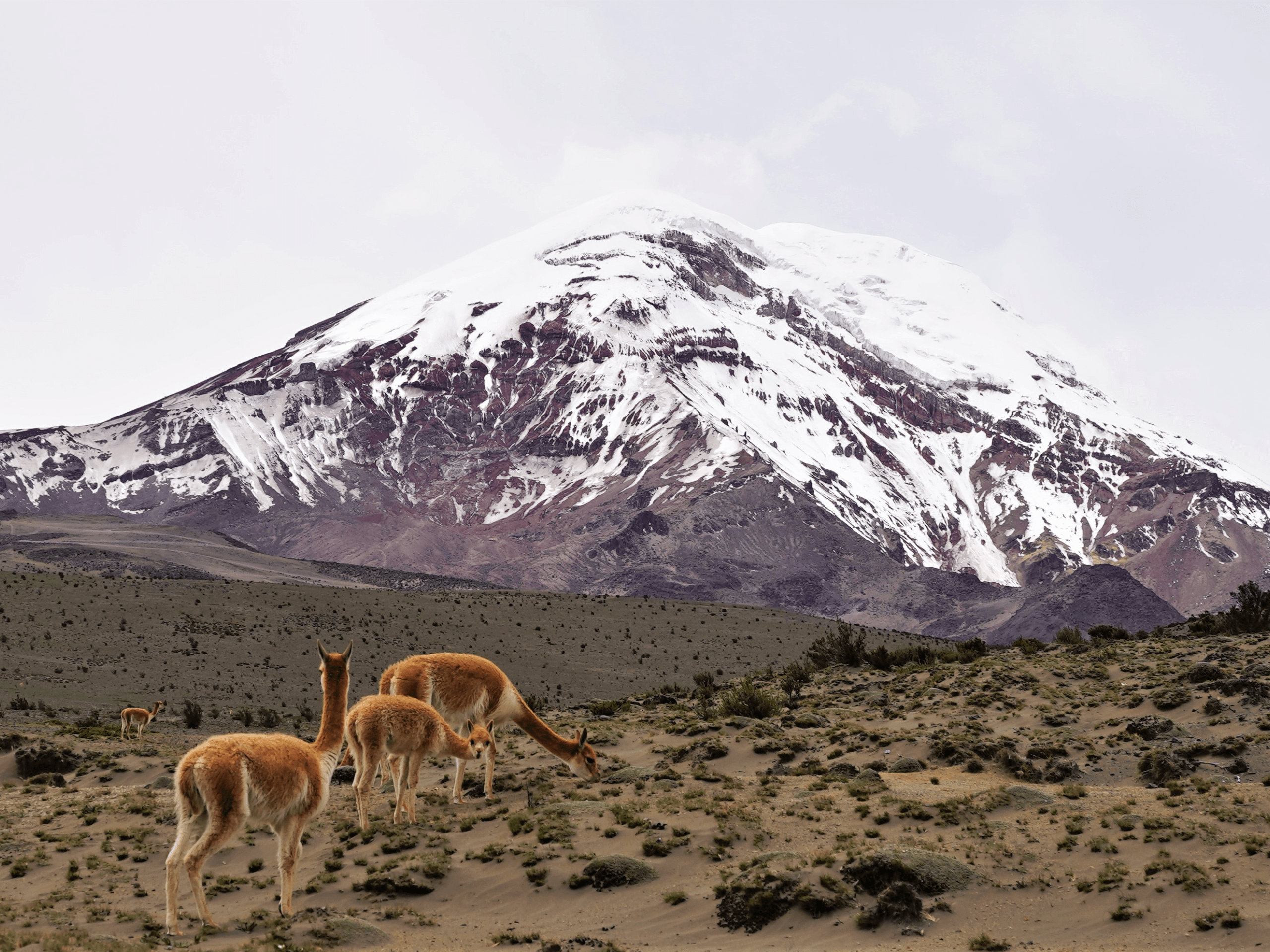 Trekking in Ecuador-7