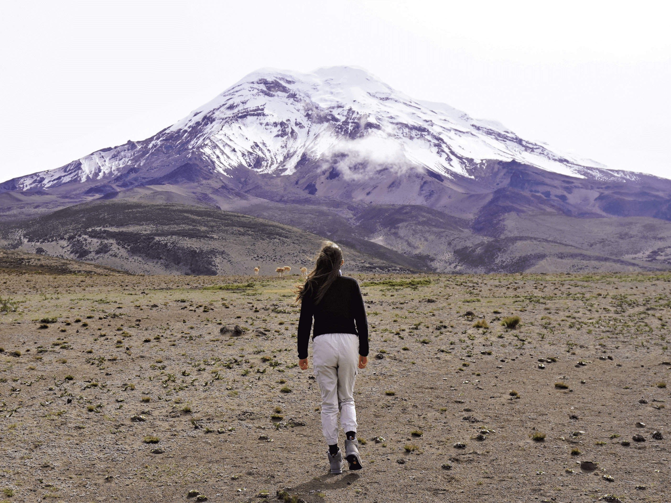 Trekking in Ecuador-9