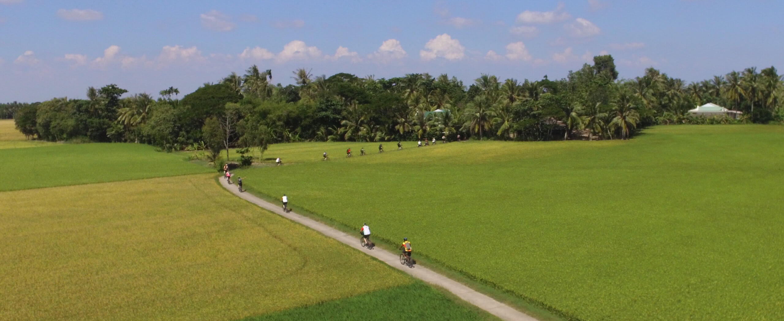 Cycling from Saigon to Mekong Delta Tour