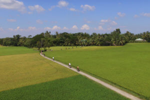 Cycling from Saigon to Mekong Delta Tour