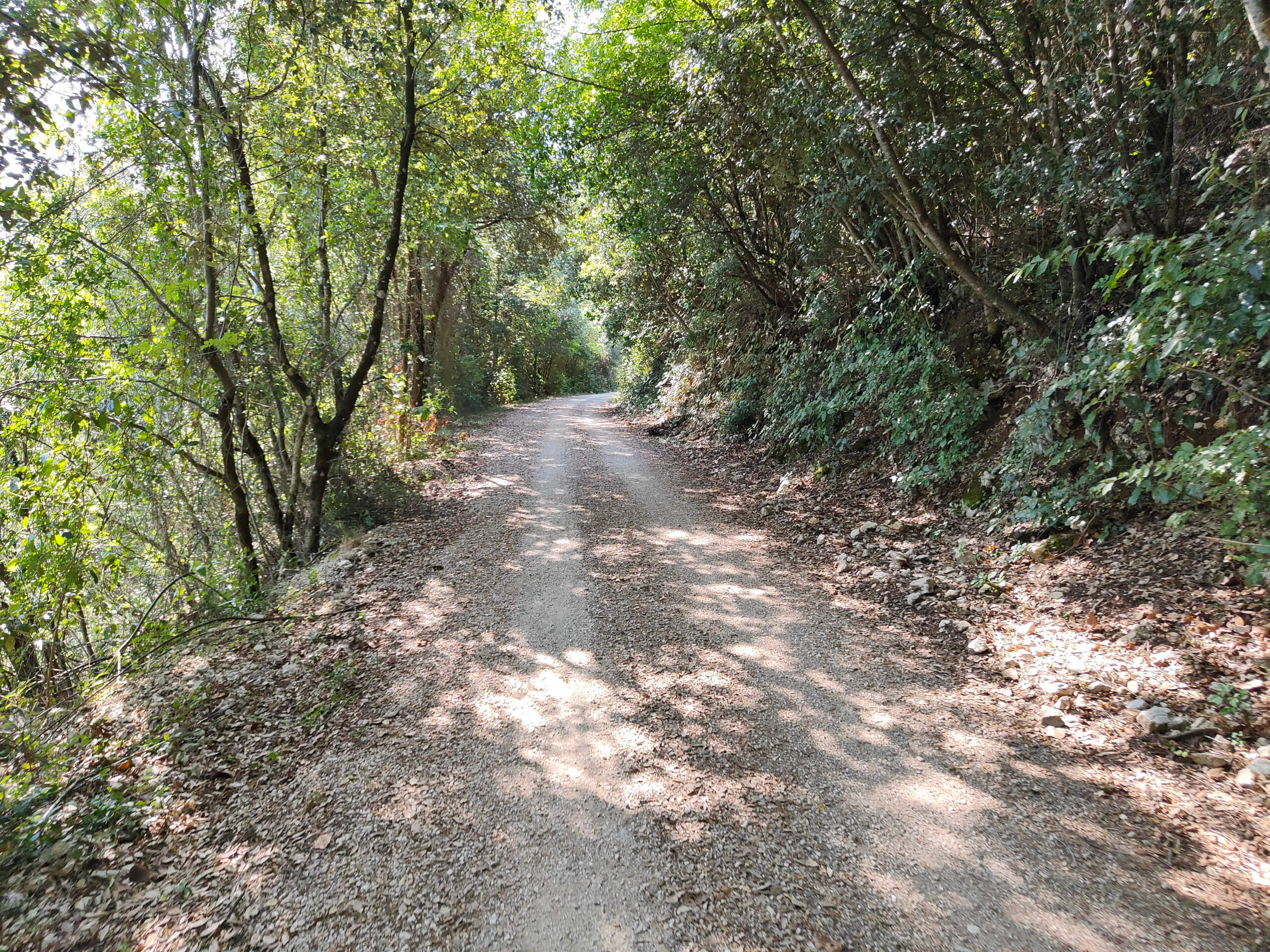 Cycle Path