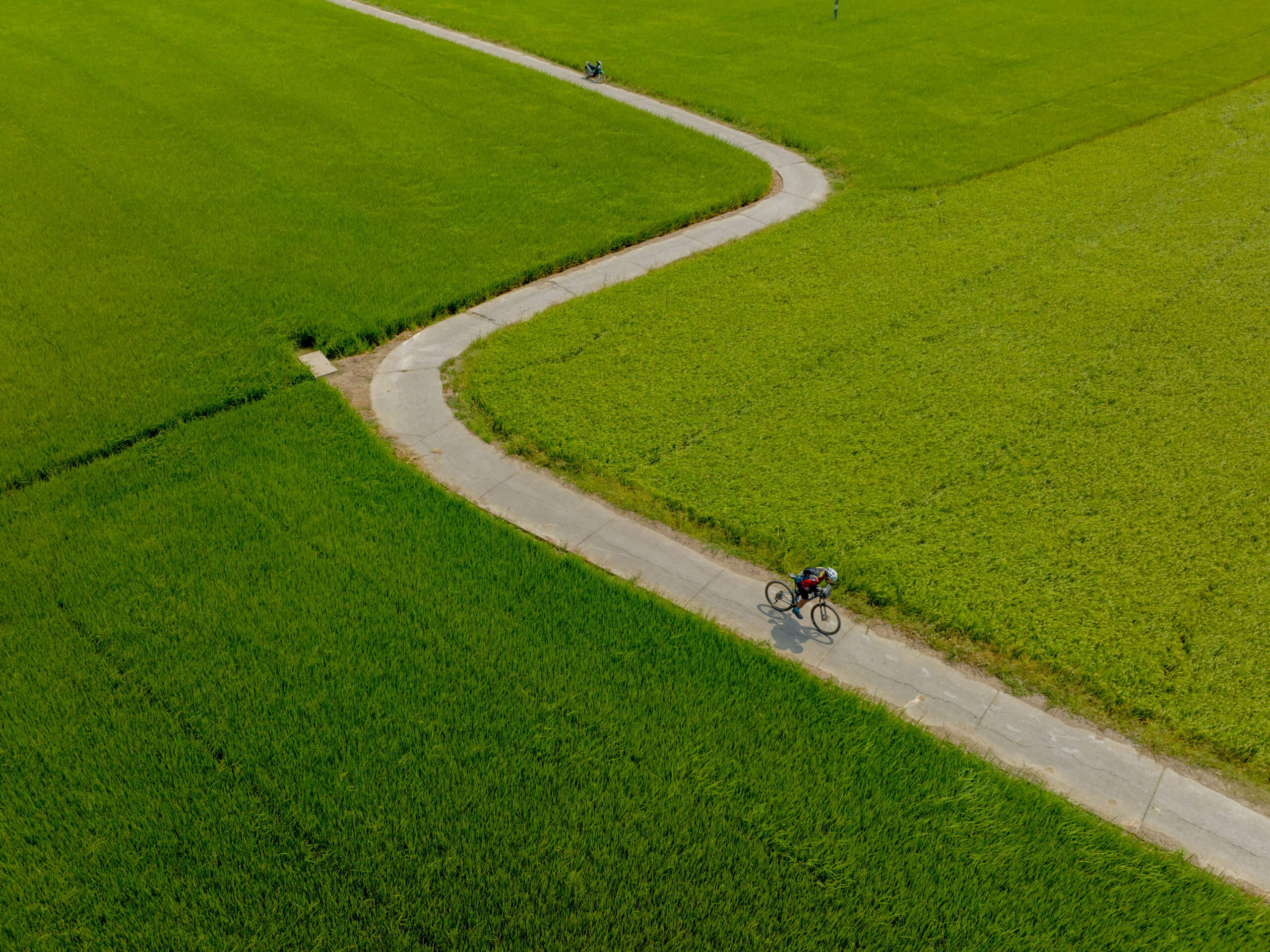 Cycling from Saigon to Mekong Delta Tour-6