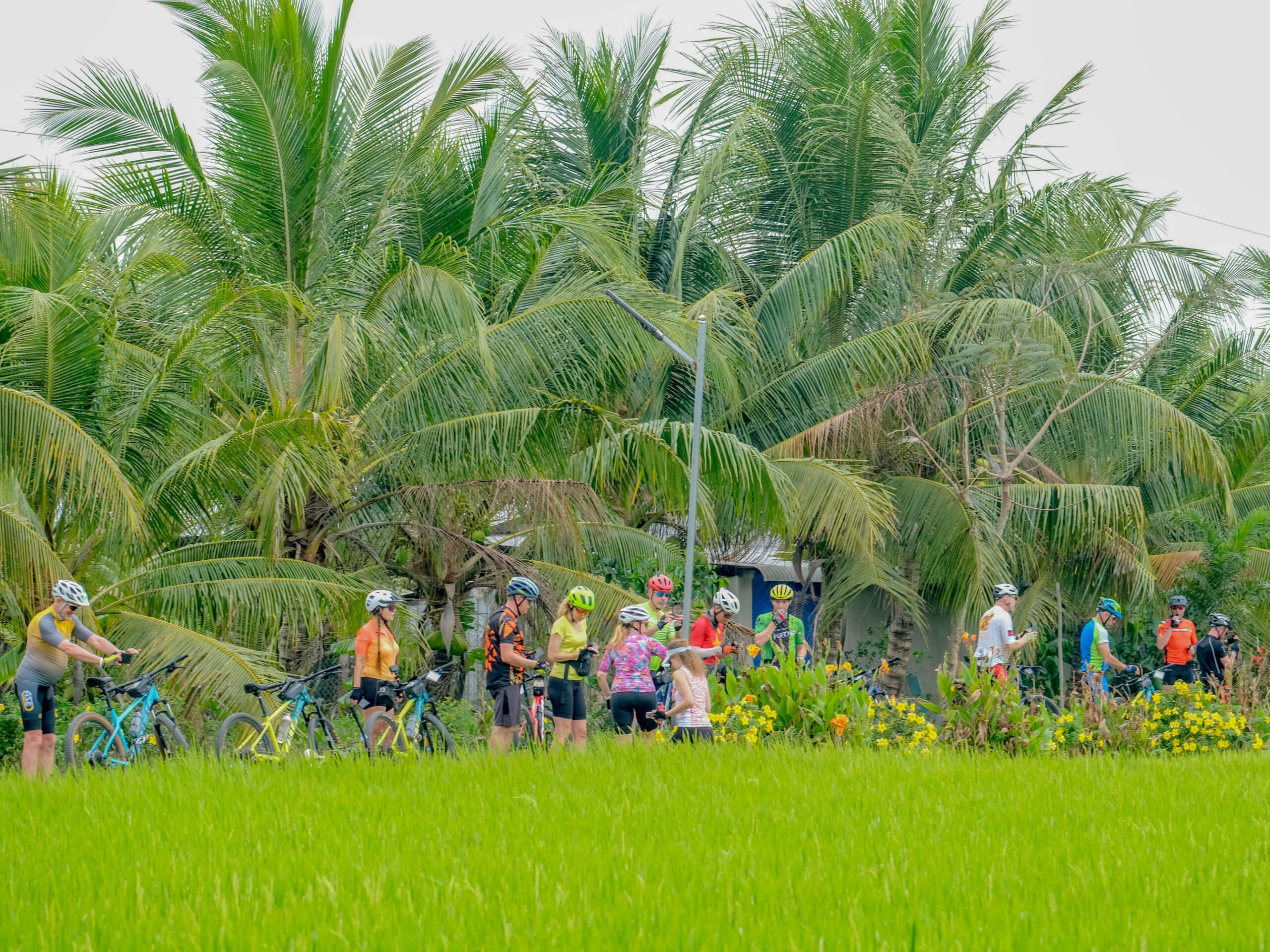 Cycling from Saigon to Mekong Delta Tour-7