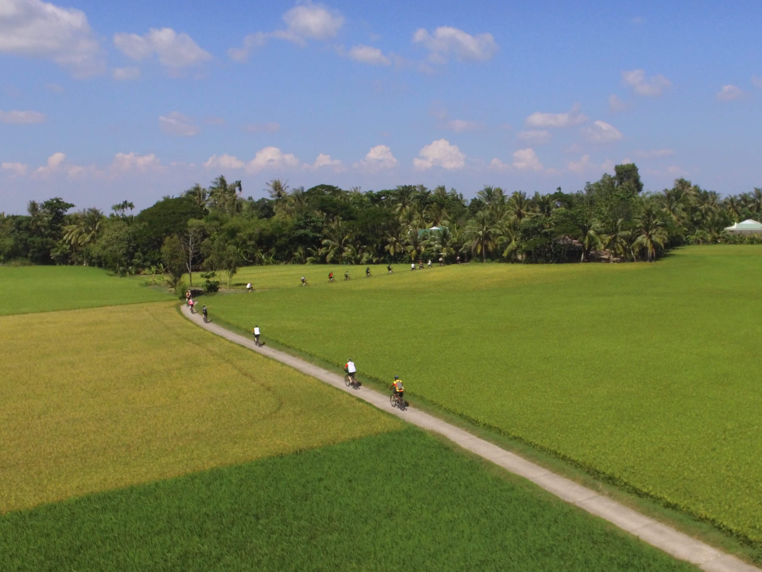 Cycling from Saigon to Mekong Delta Tour-8