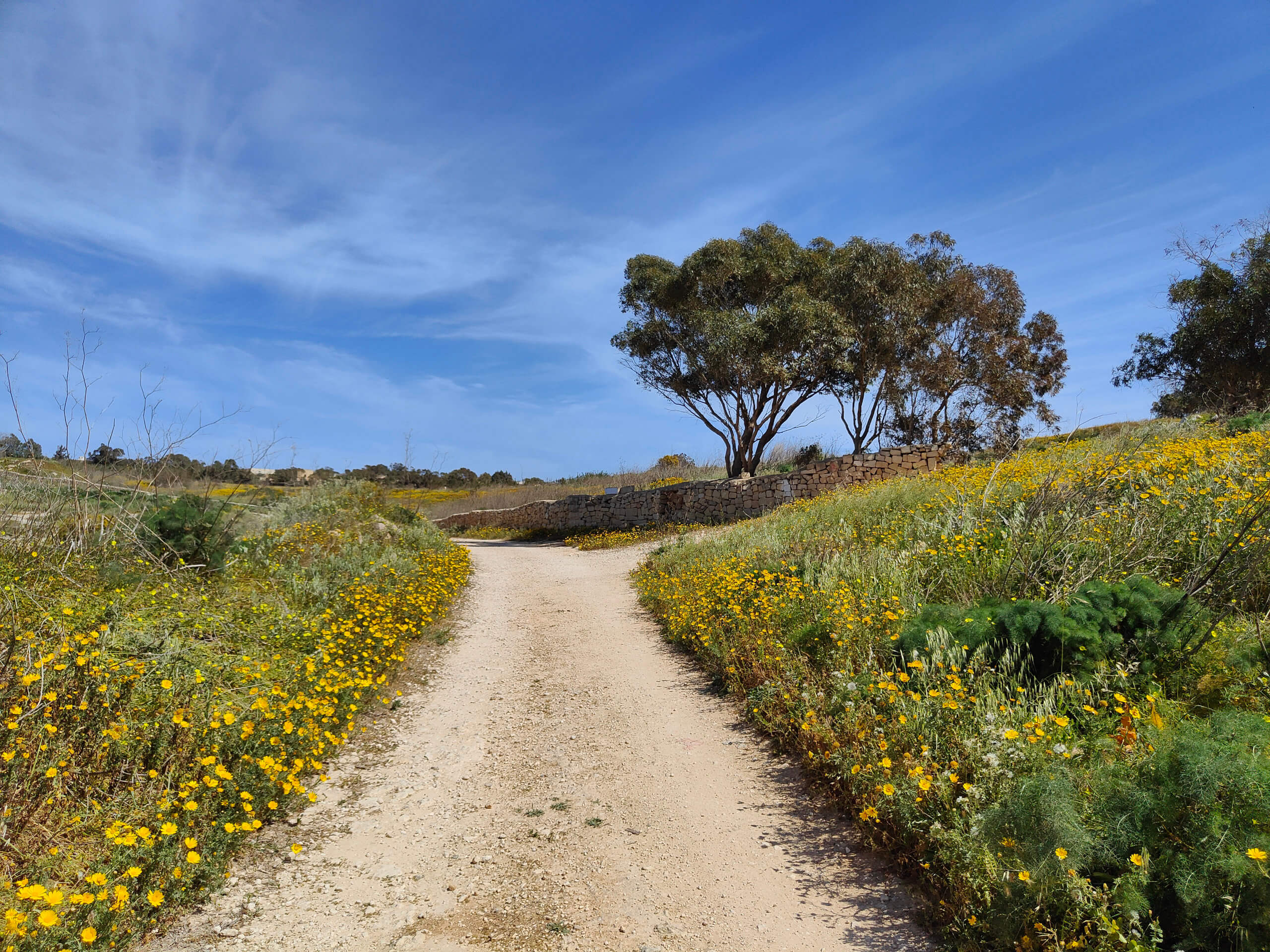 Hagar Qim Dingli