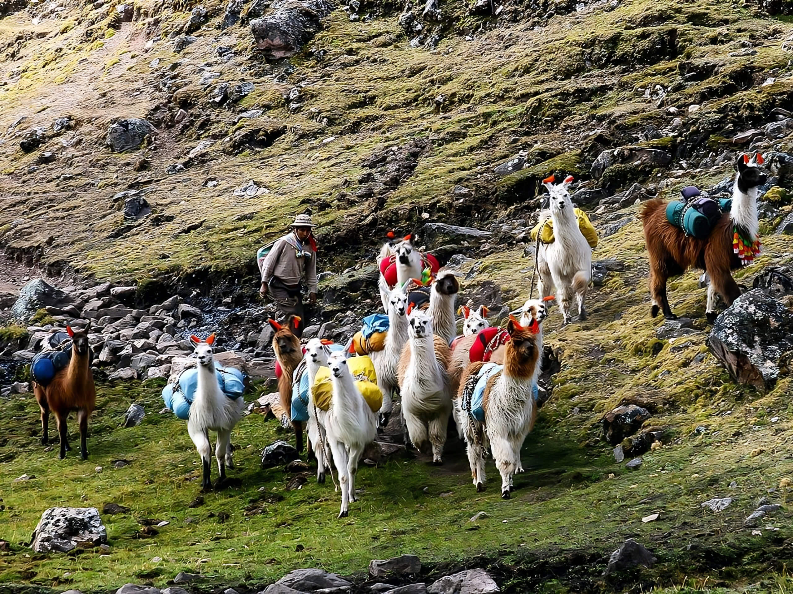 Lares Trek to Machu Picchu Private Group-3