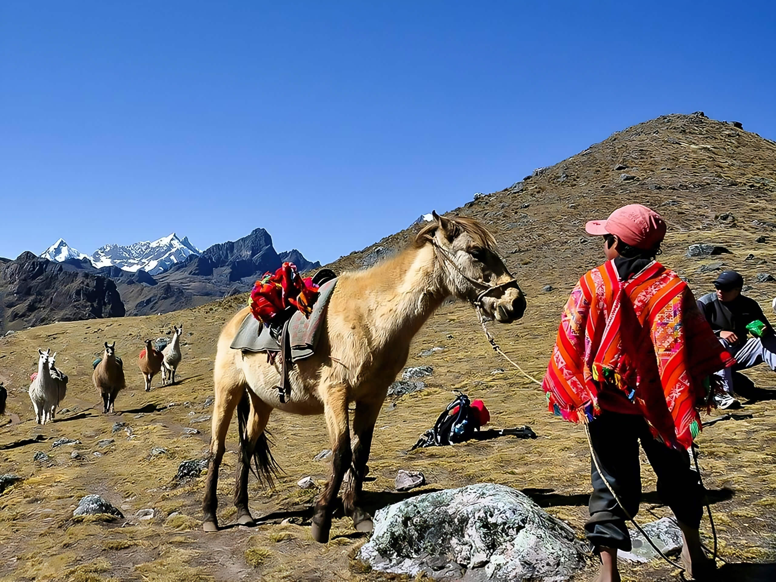 Lares Trek to Machu Picchu Private Group-4