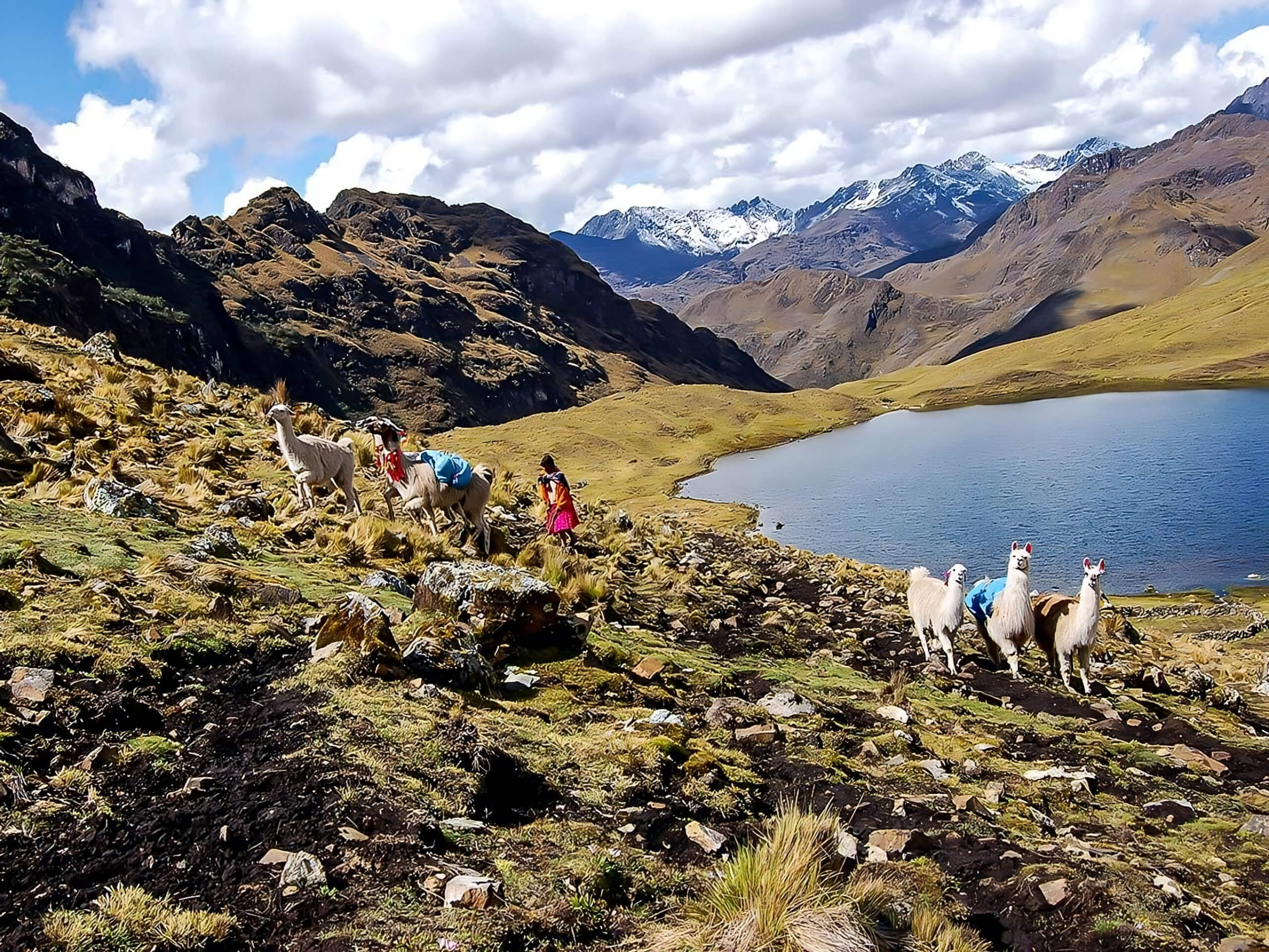 Lares Trek to Machu Picchu Private Group-5