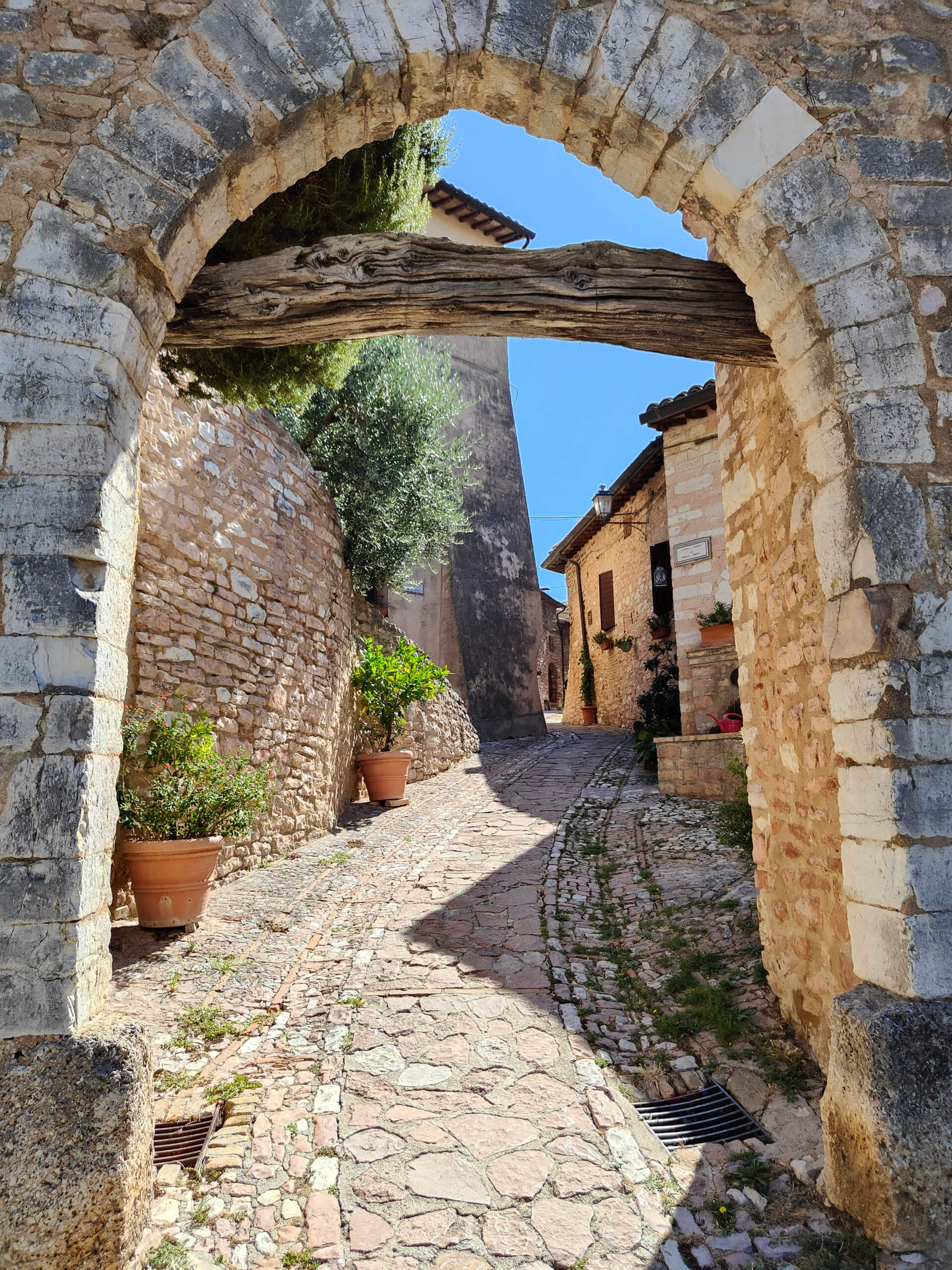 Medieval Street