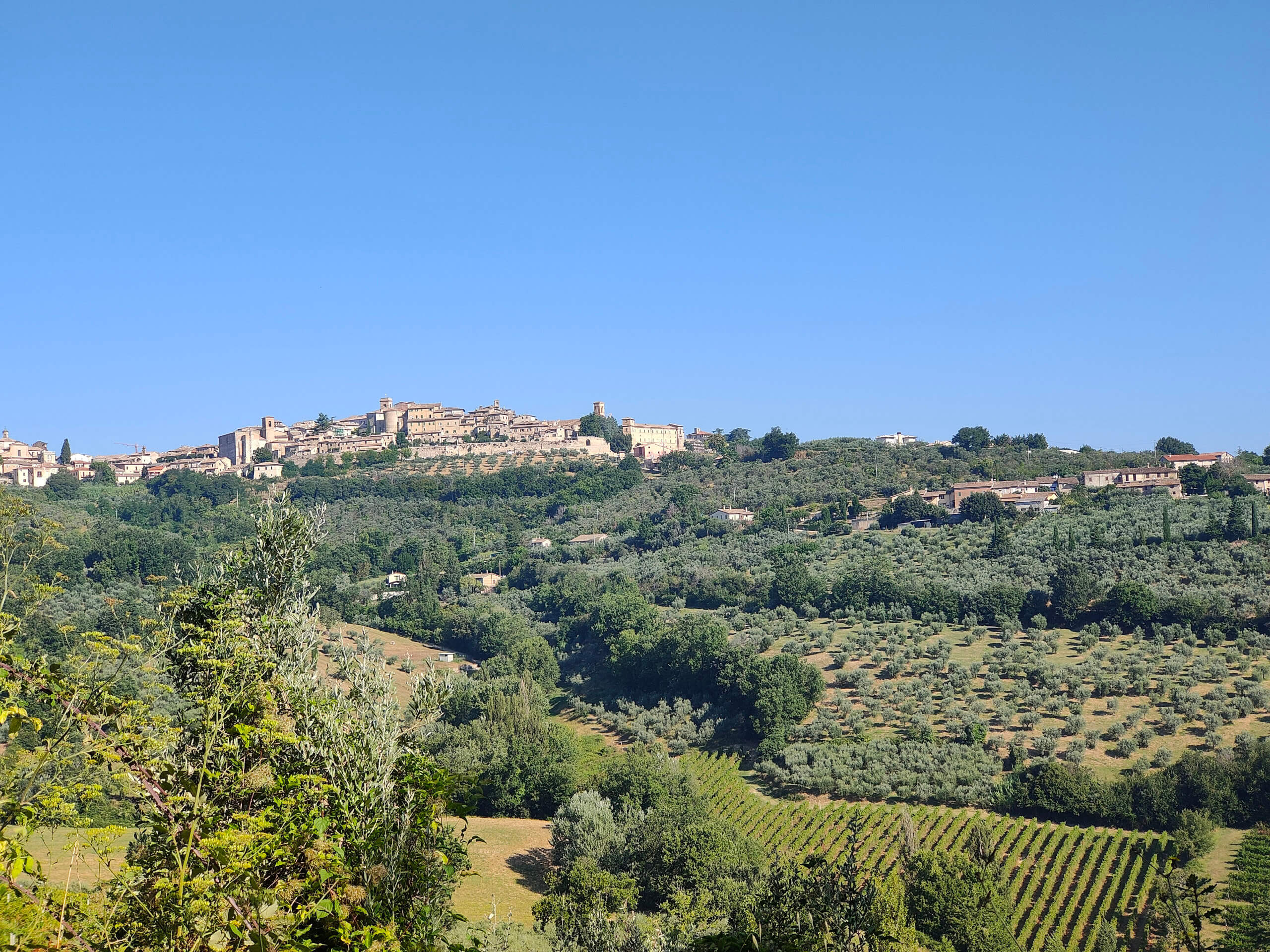 Montefalco