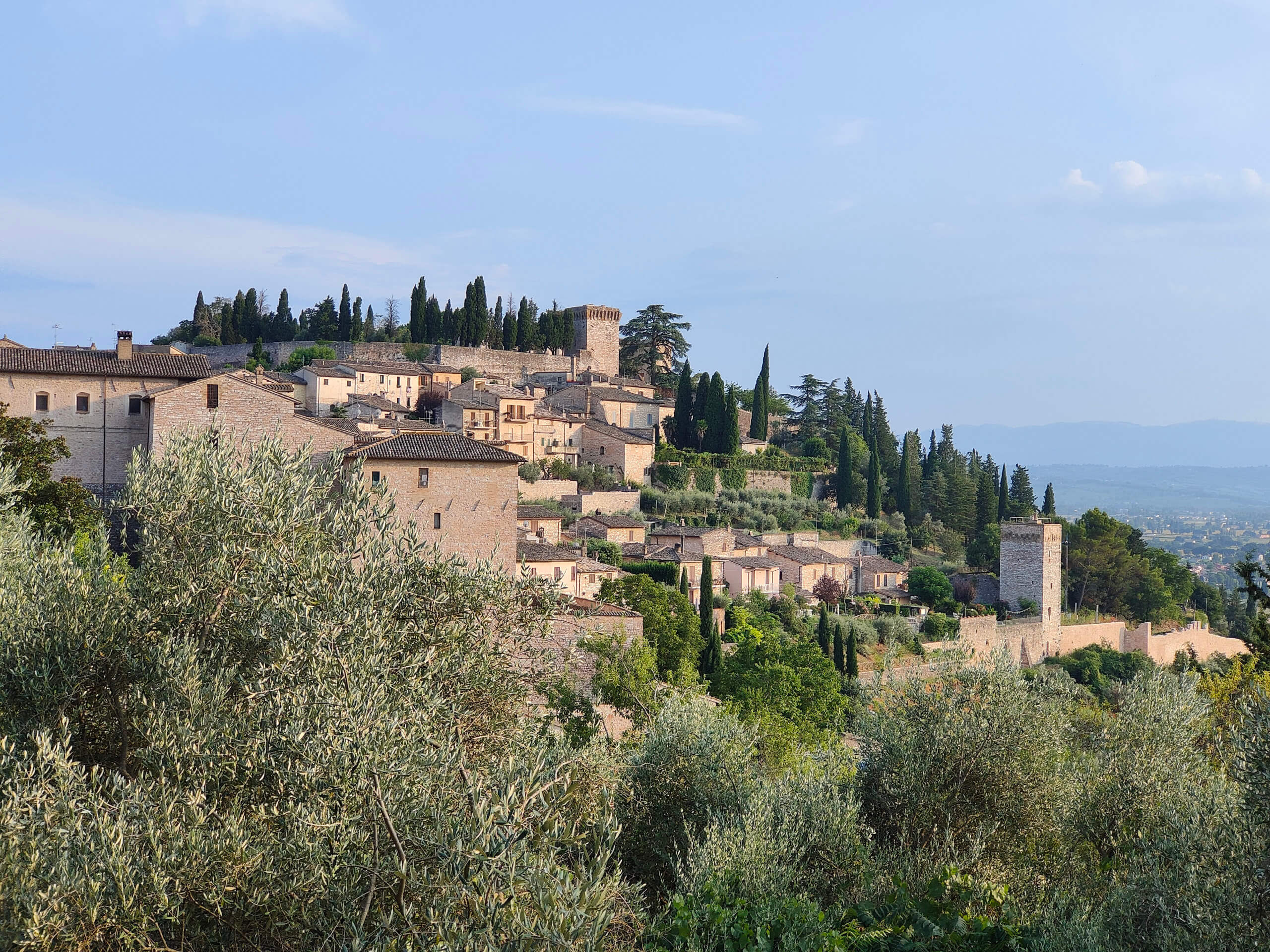 Spello View