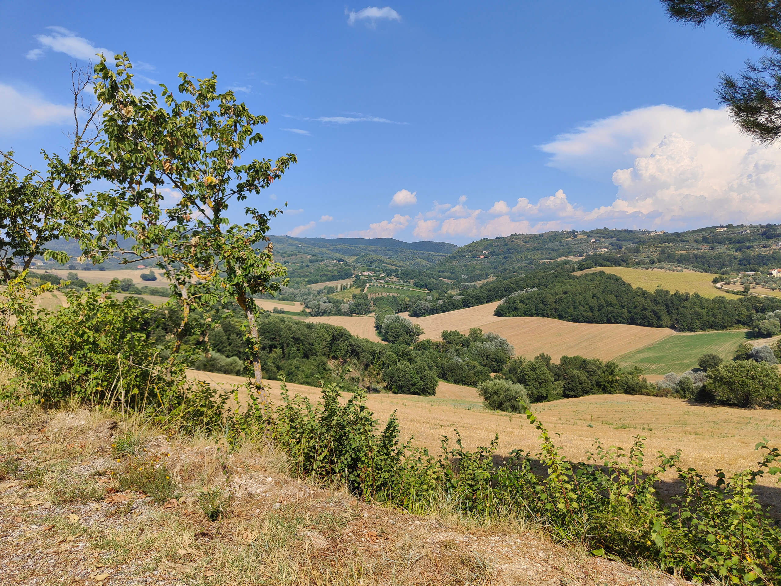 Umbrian Countryside