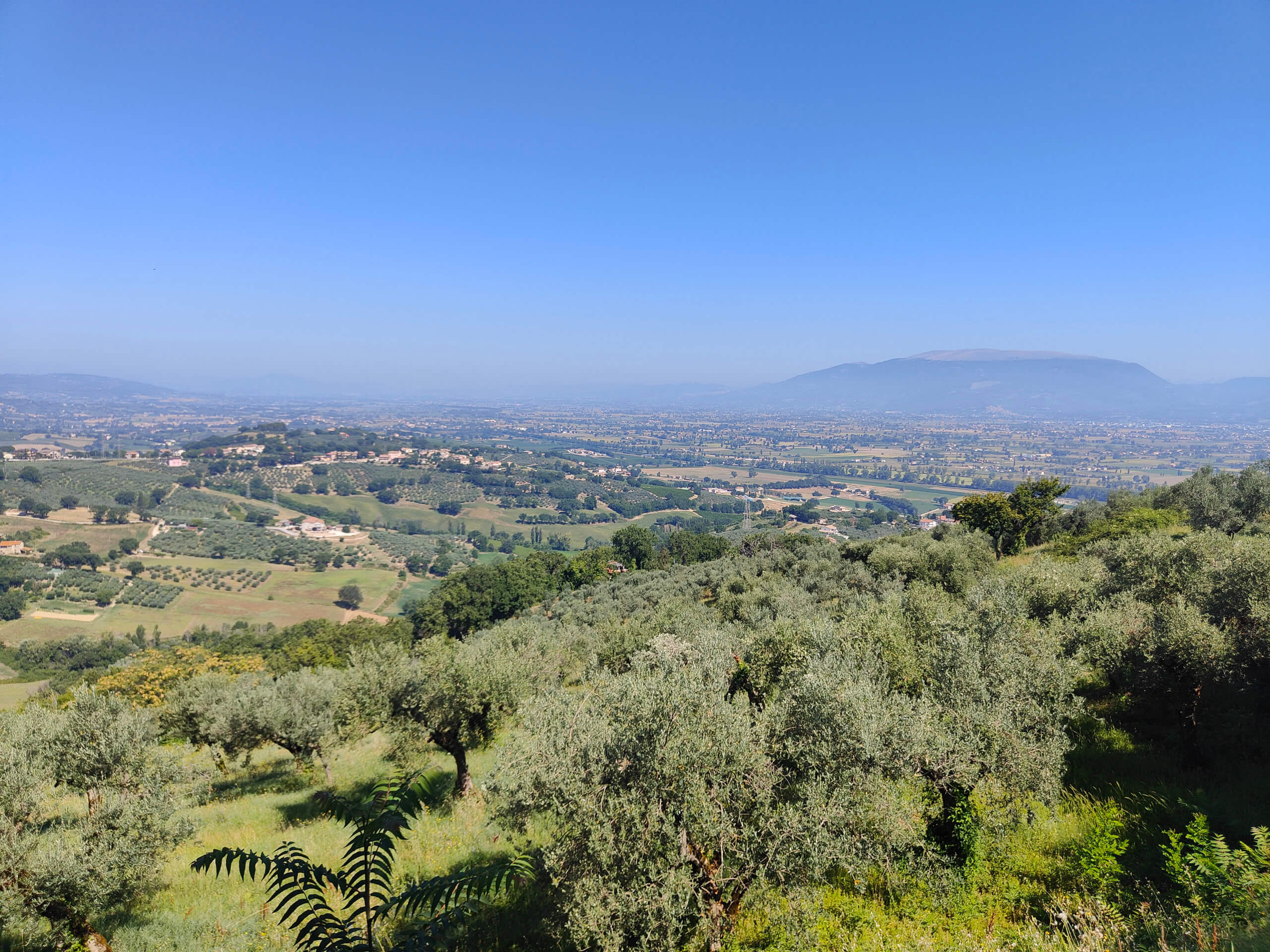 View Montefalco