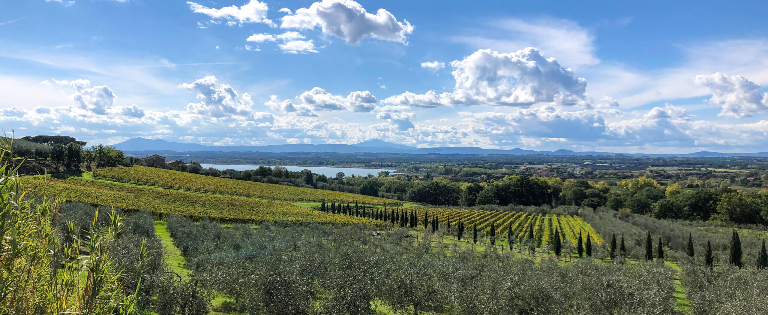 Scenic Tuscany Cycling in Charming Hotels