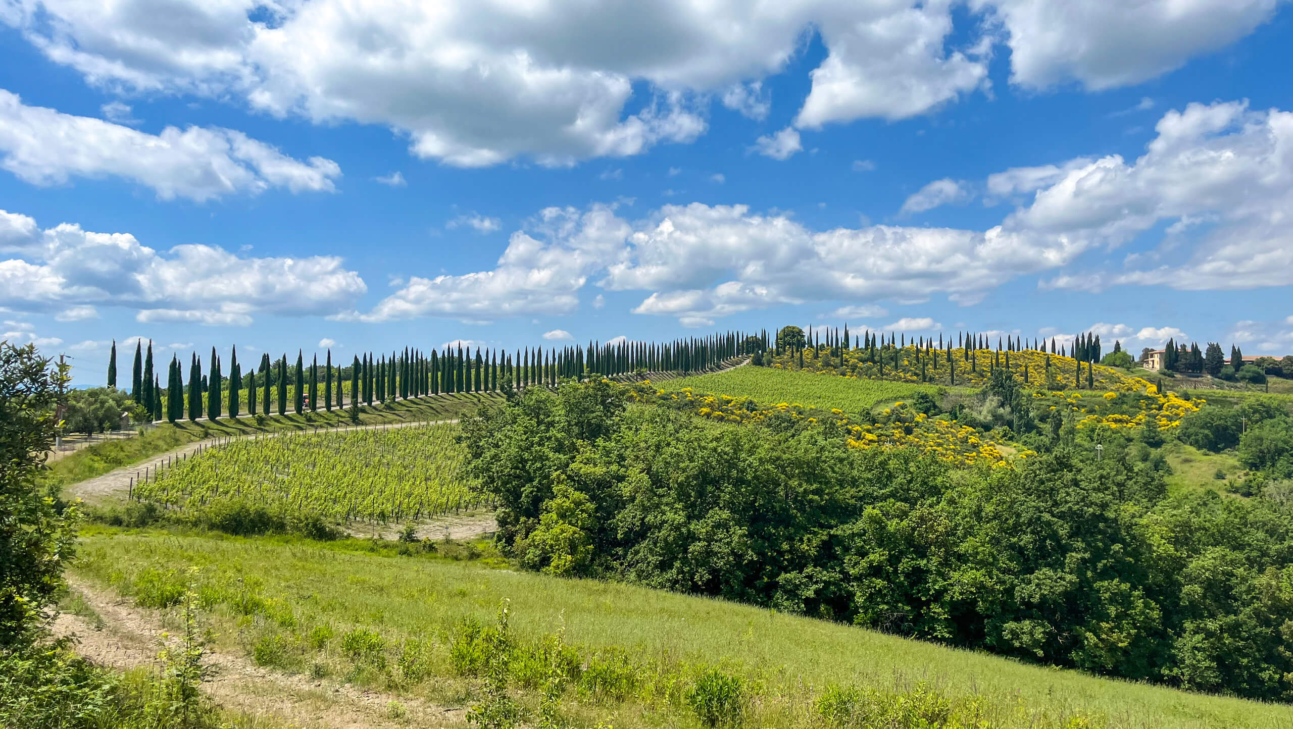 Scenic Tuscany Cycling in Charming Hotels