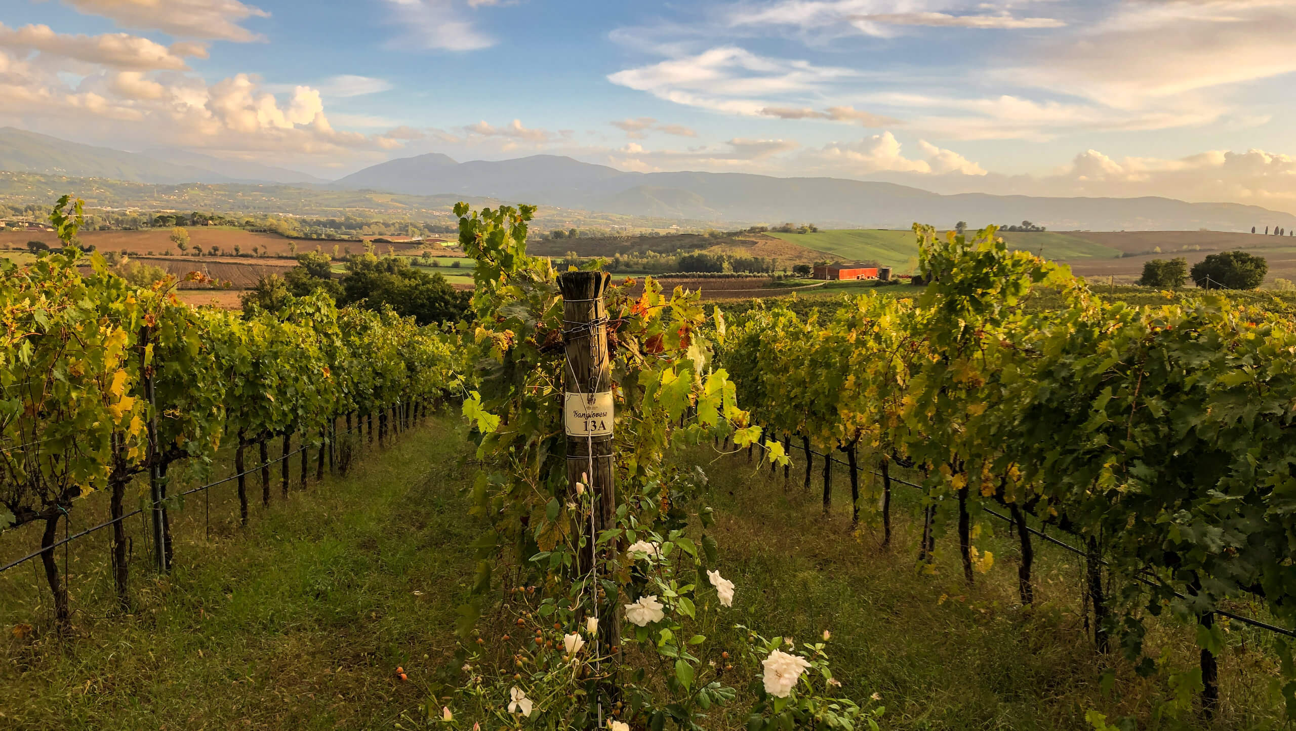 Walking Tour of Umbria