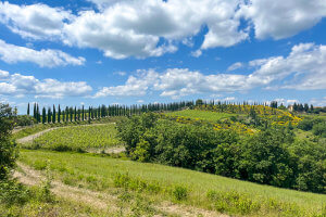 Scenic Tuscany Cycling in Charming Hotels